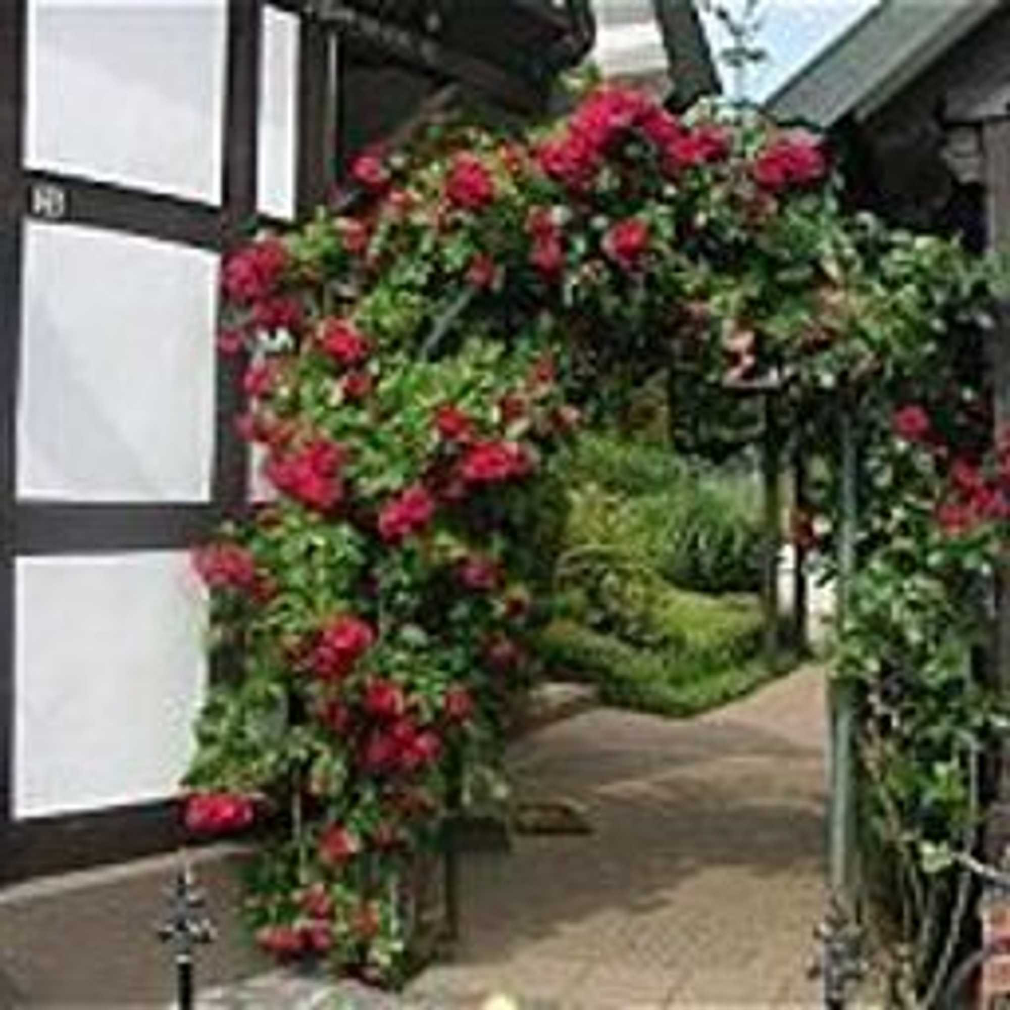 Gift card for Landhotel Der Buchenhof Bad Essen Gift card for Landhotel Der Buchenhof Bad Essen