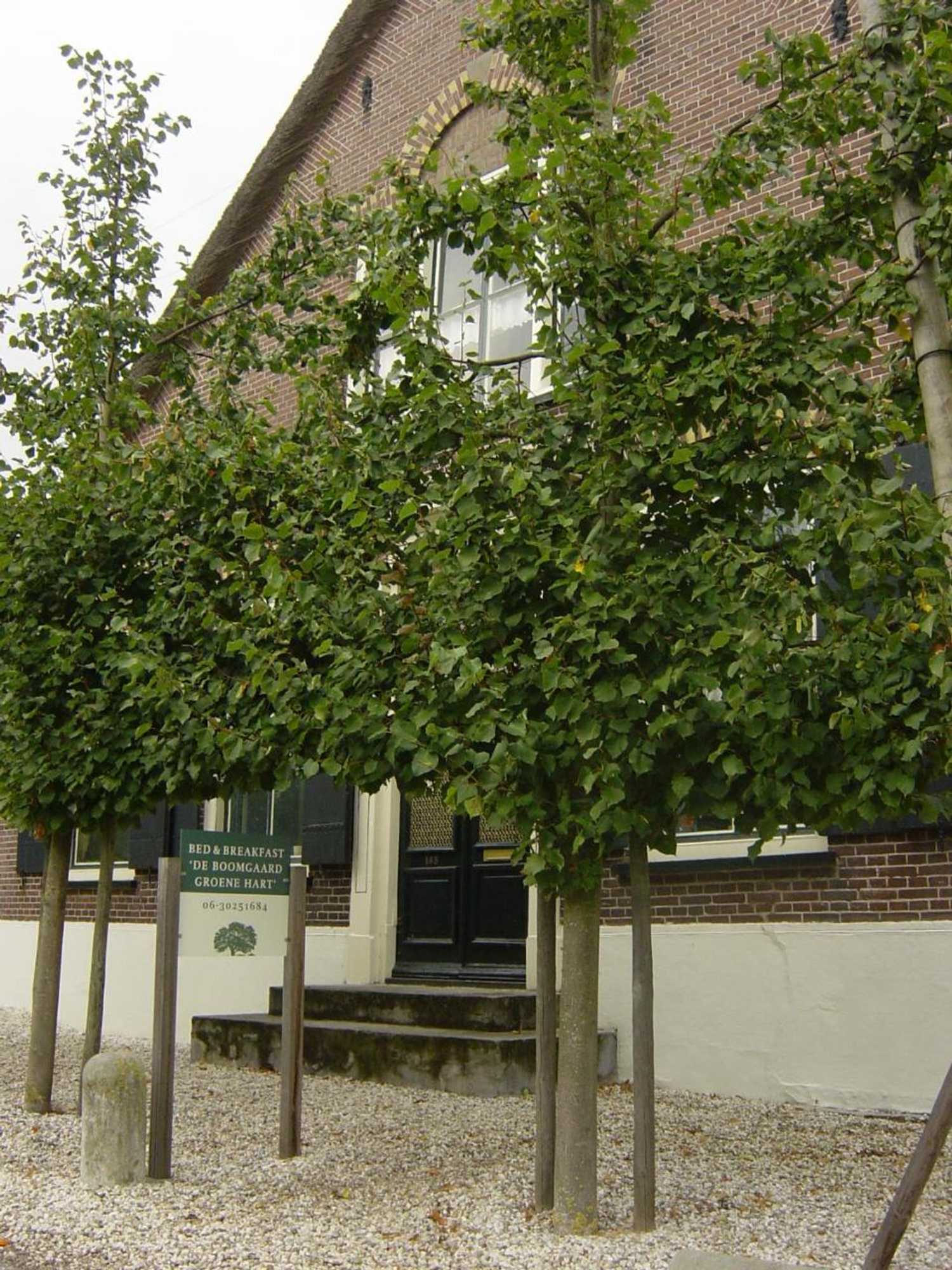 Gift card for De Boomgaard Groene Hart