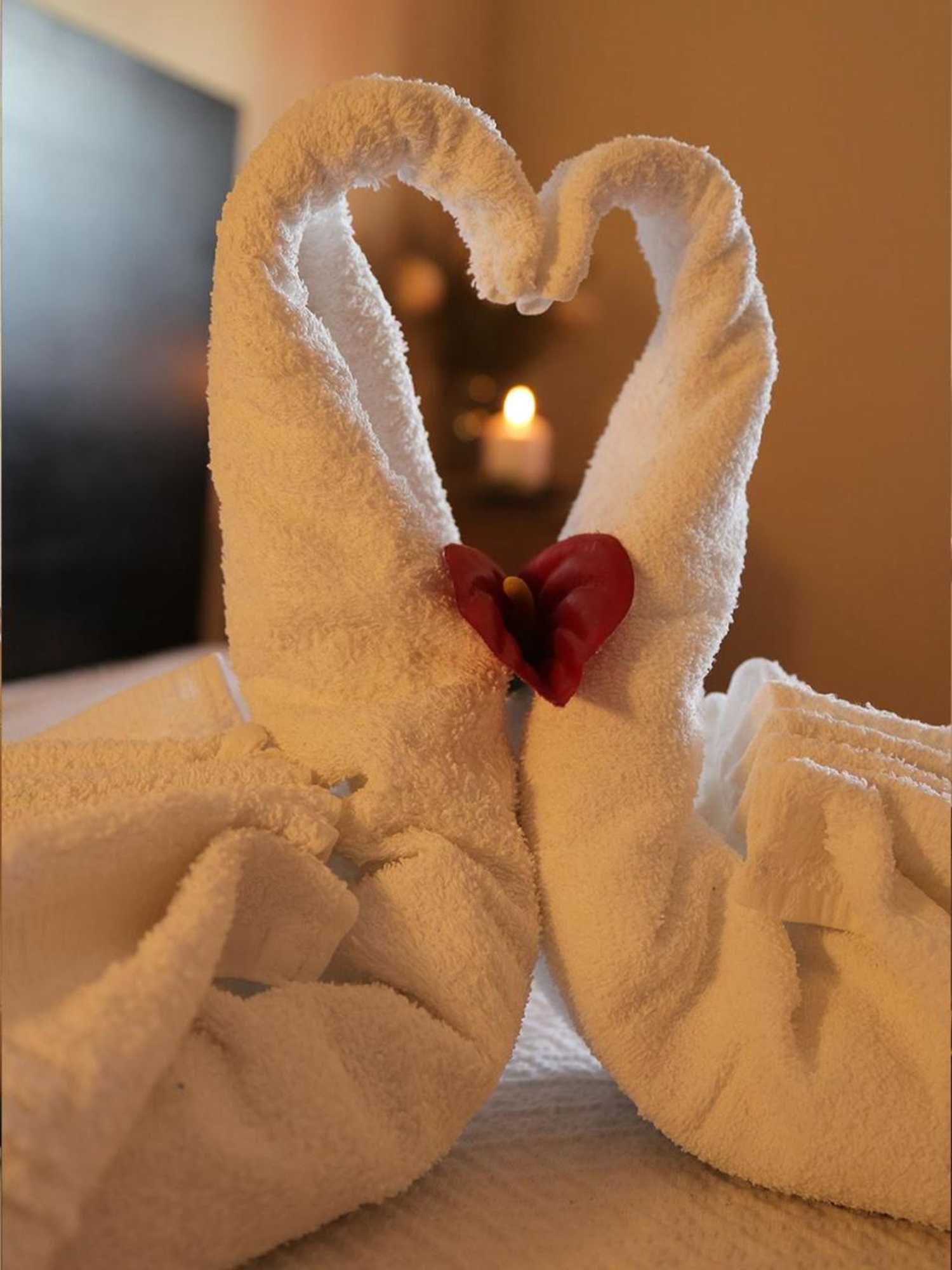 Gift card for Seia Apartamentos Serra da Estrela