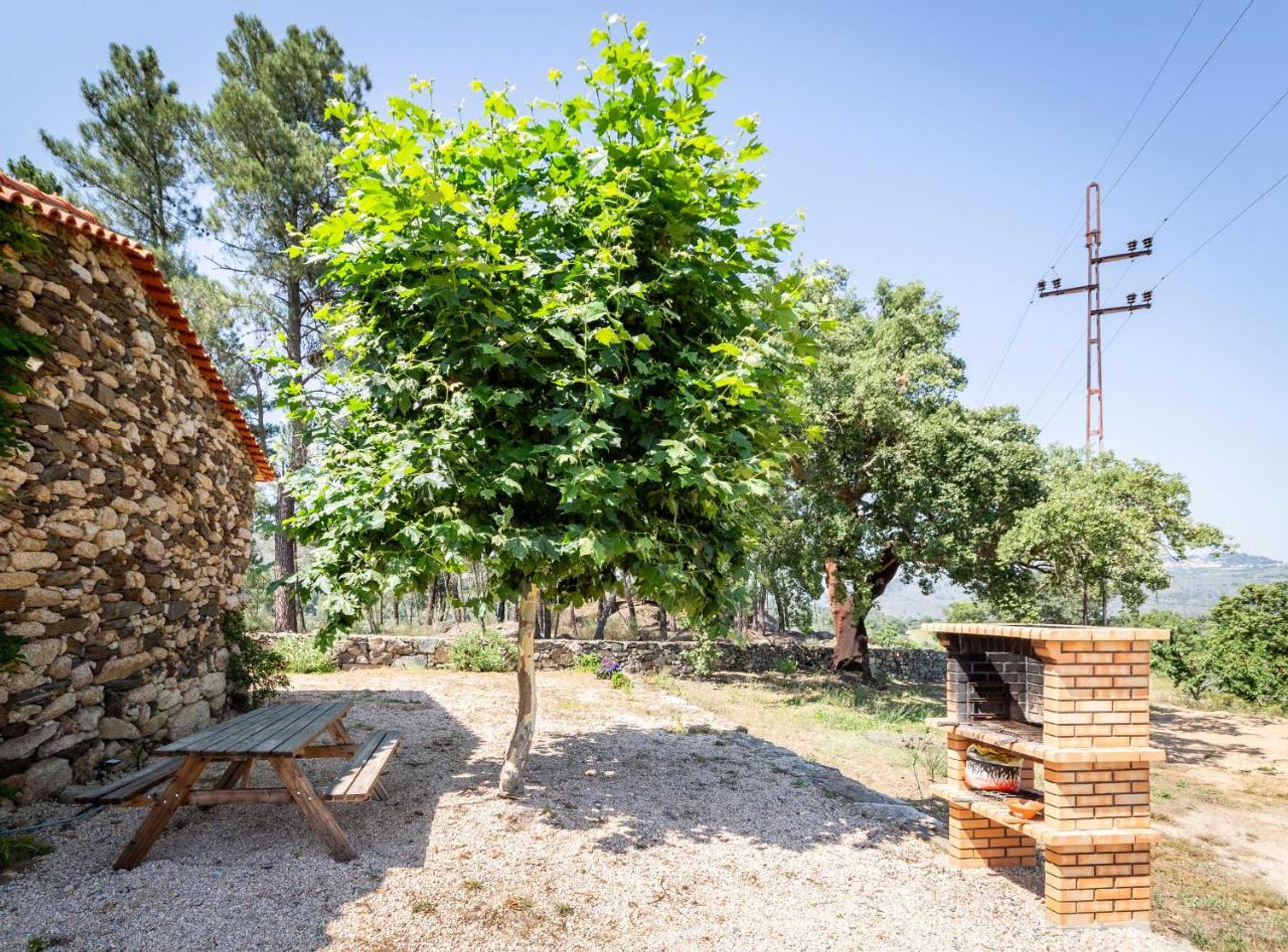 Gift card for Casa do Feitor - Douro - Quinta da Cabrida Gift card for Casa do Feitor - Douro - Quinta da Cabrida