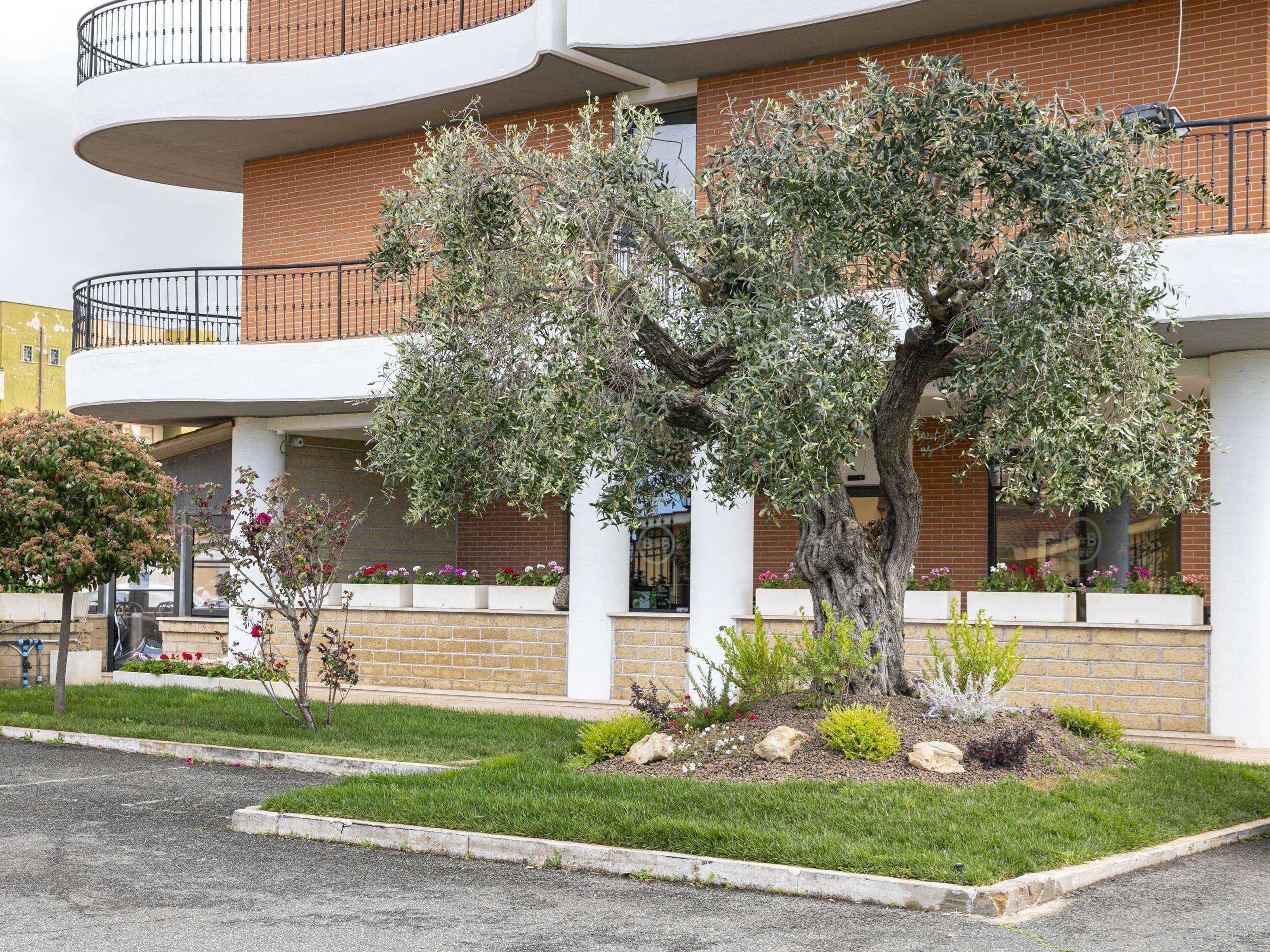 Gift card for B&b Hotel Pomezia Cortese Gift card for B&b Hotel Pomezia Cortese