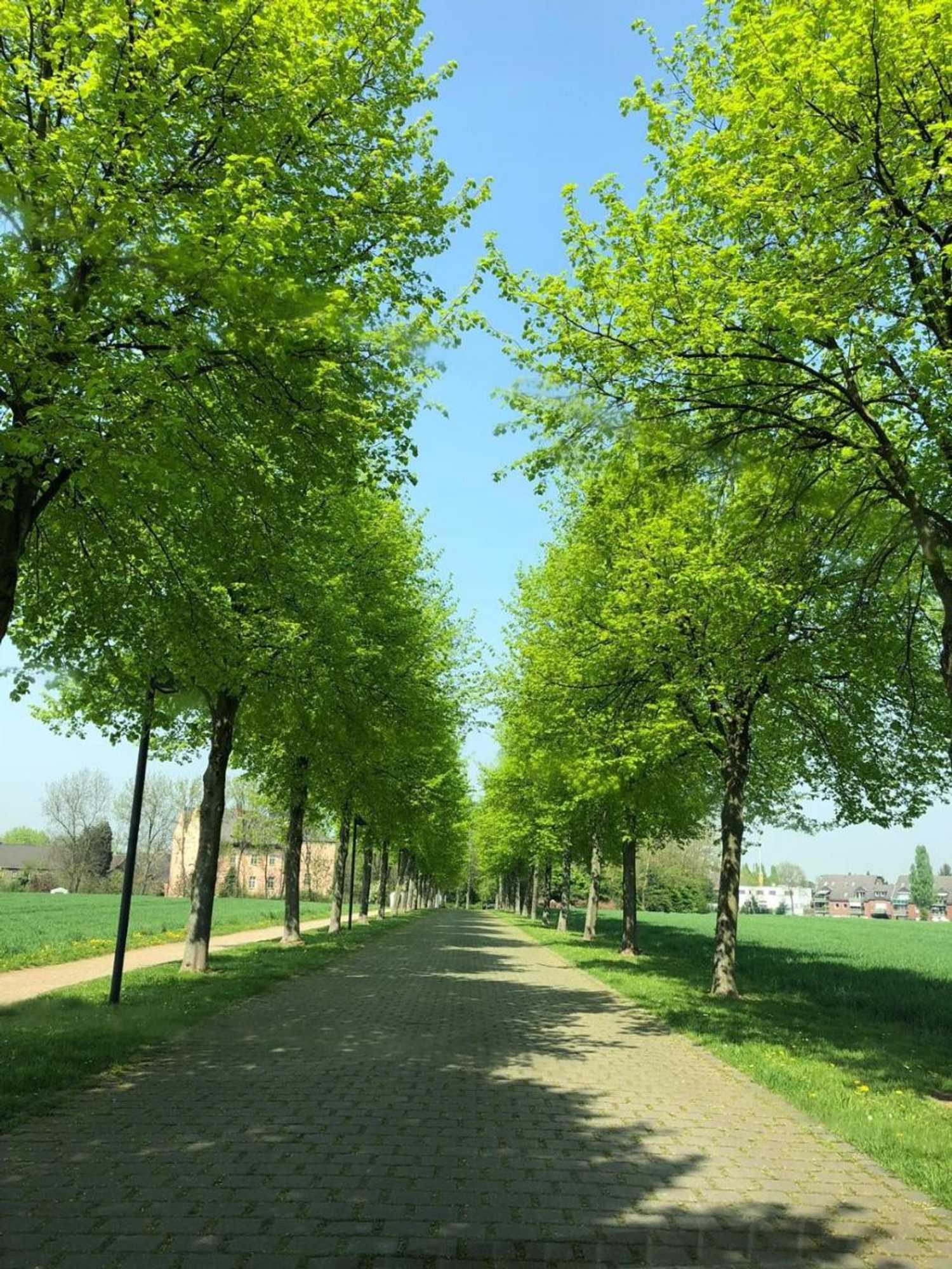 Gift card for Gut Dyckhof