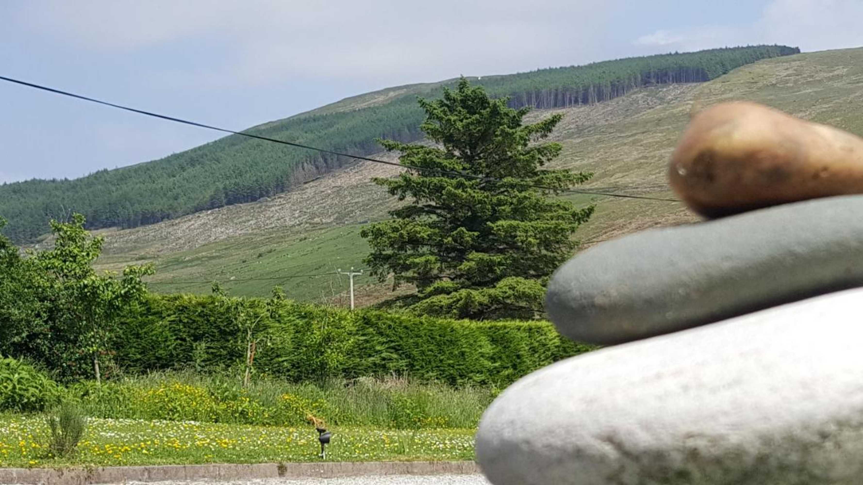 Gift card for An Charraig Ban on The Wild Atlantic Way F94wt02