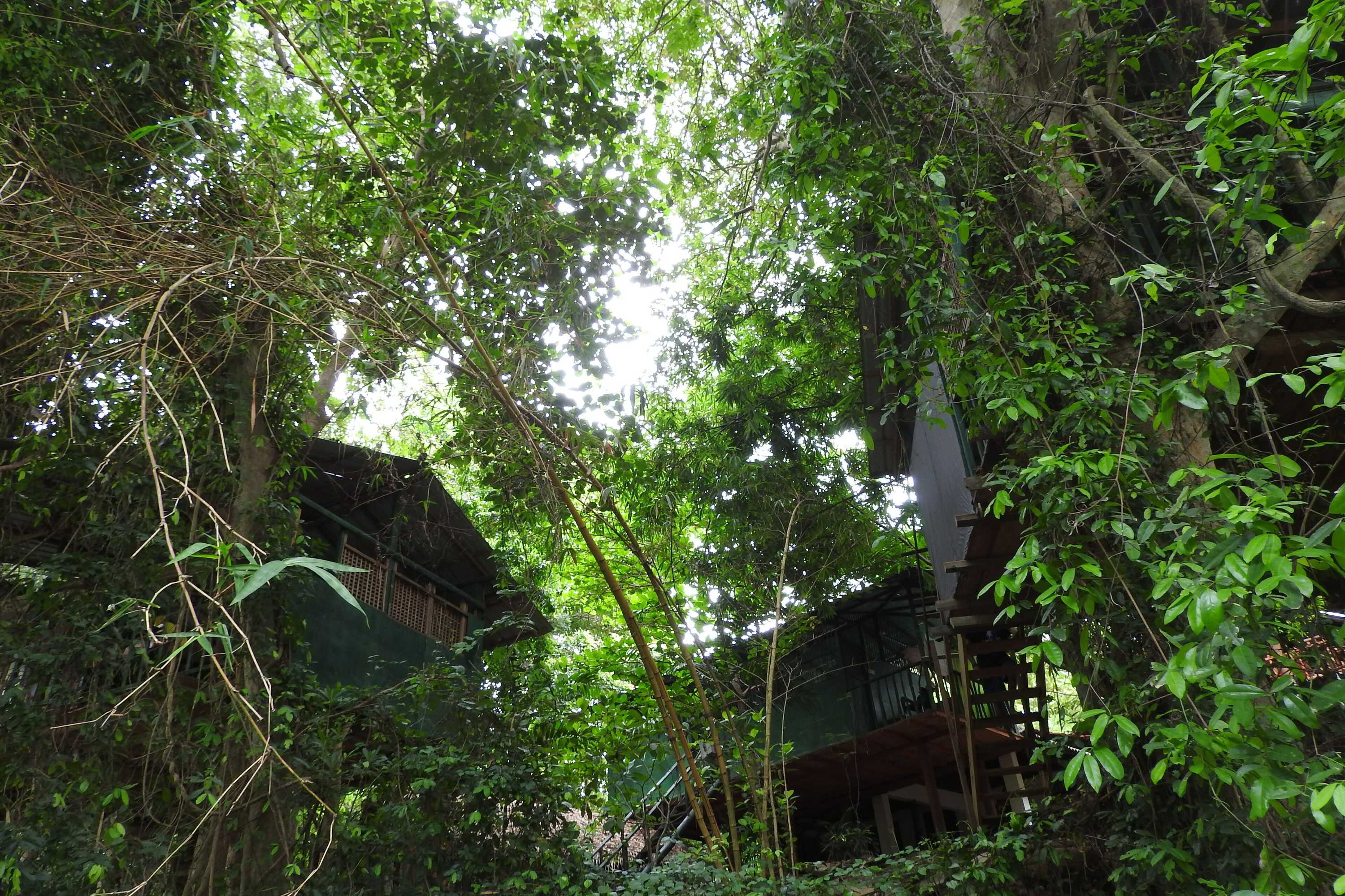 Gift card for Riverside Cabana Yala Gift card for Riverside Cabana Yala