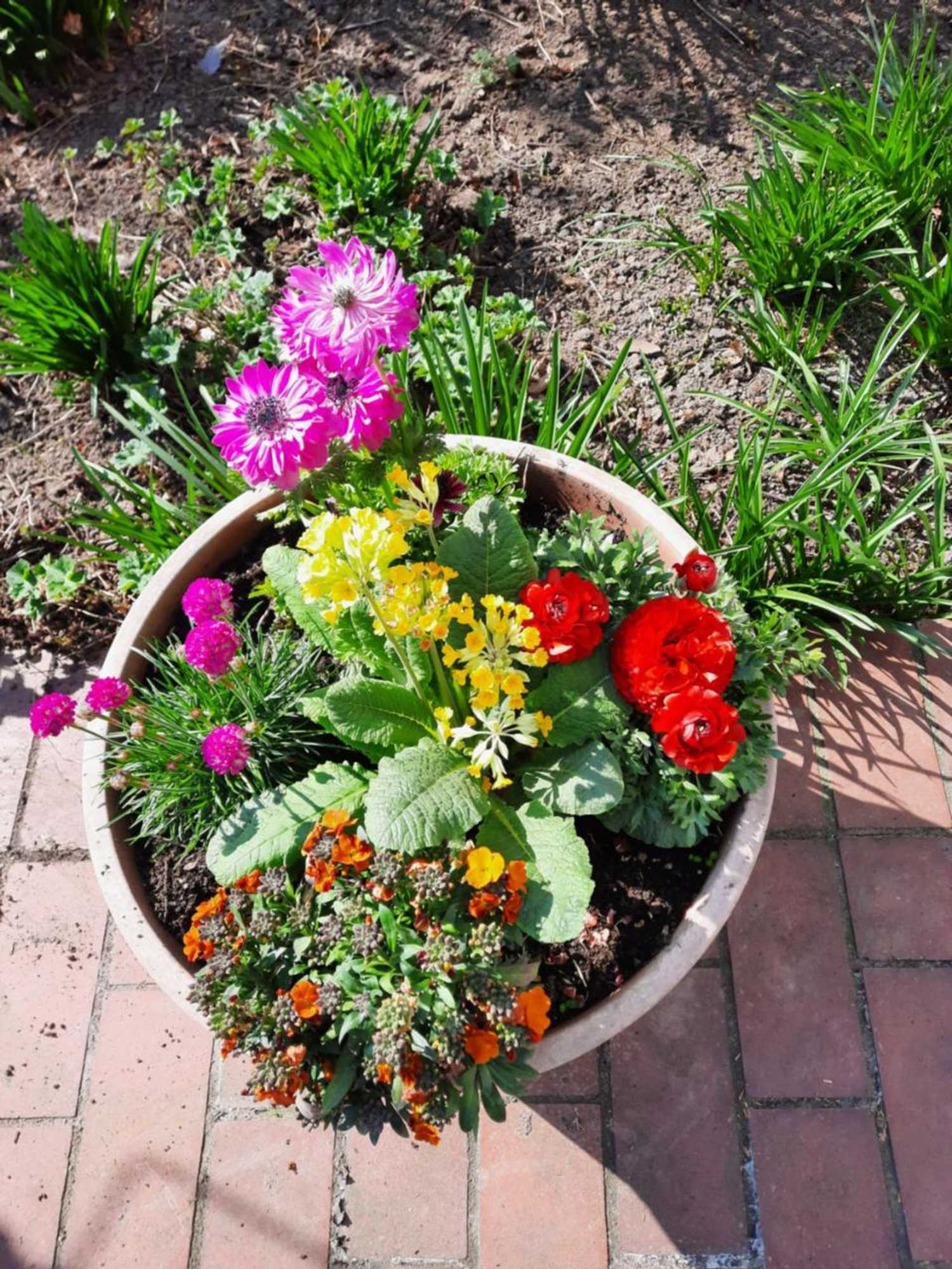 Gift card for Hotel Zur Brücke