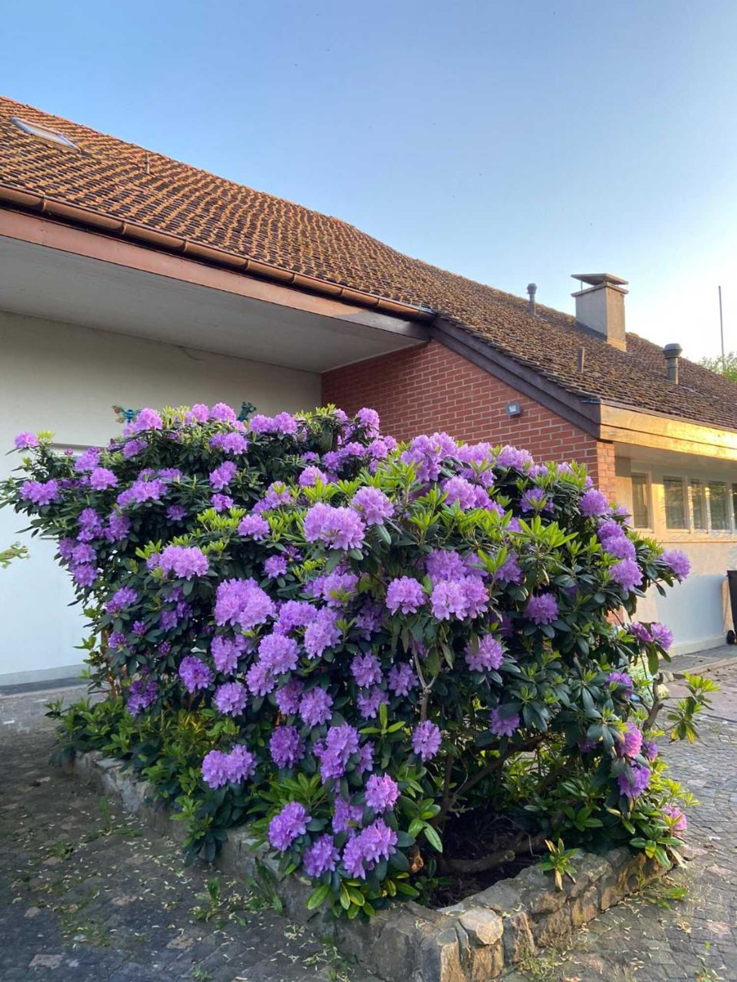 Gift card for Casa Wellbella