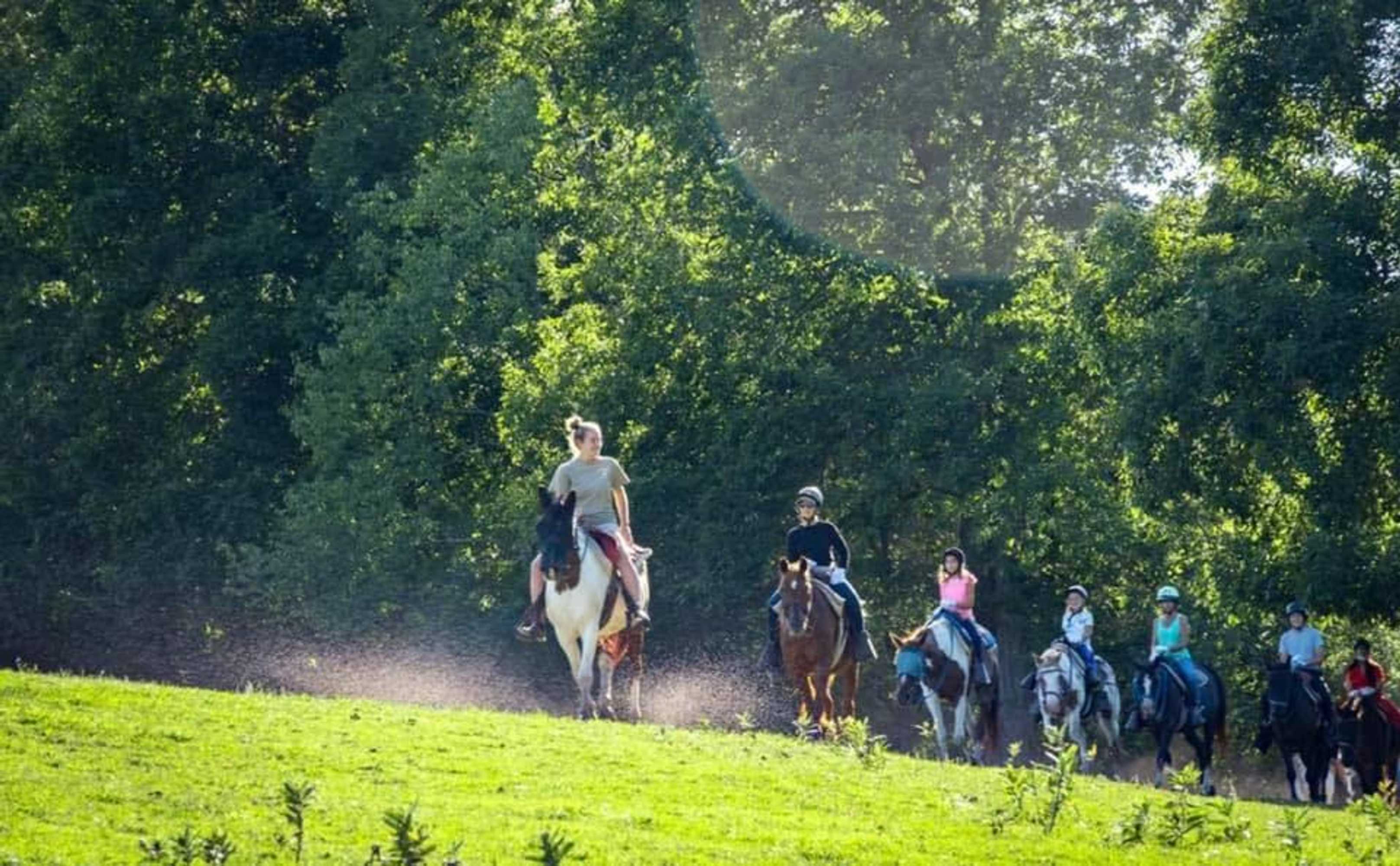 Gift card for Gavin's Irish Country Inn