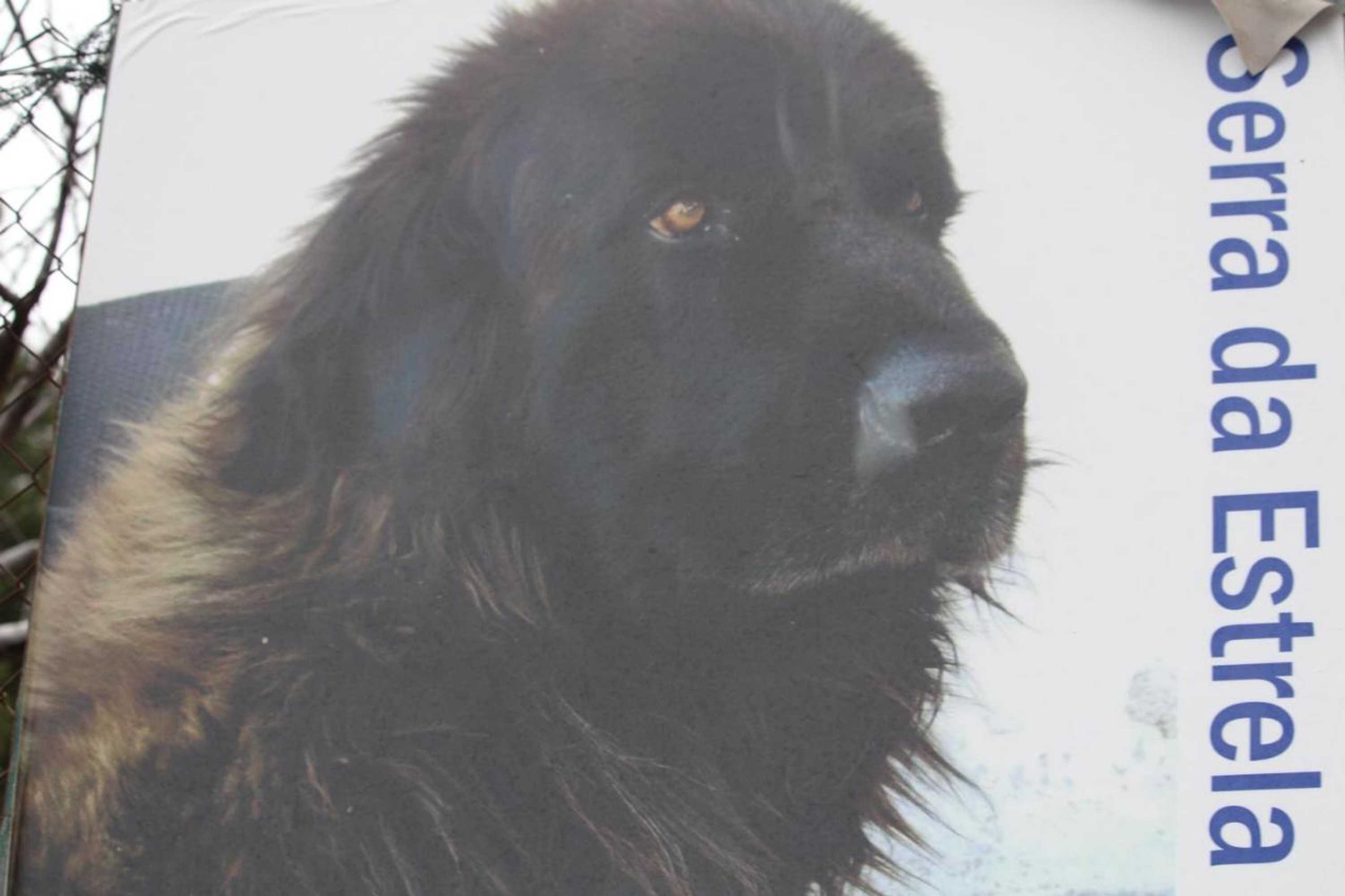 Gift card for Casa do Tio João