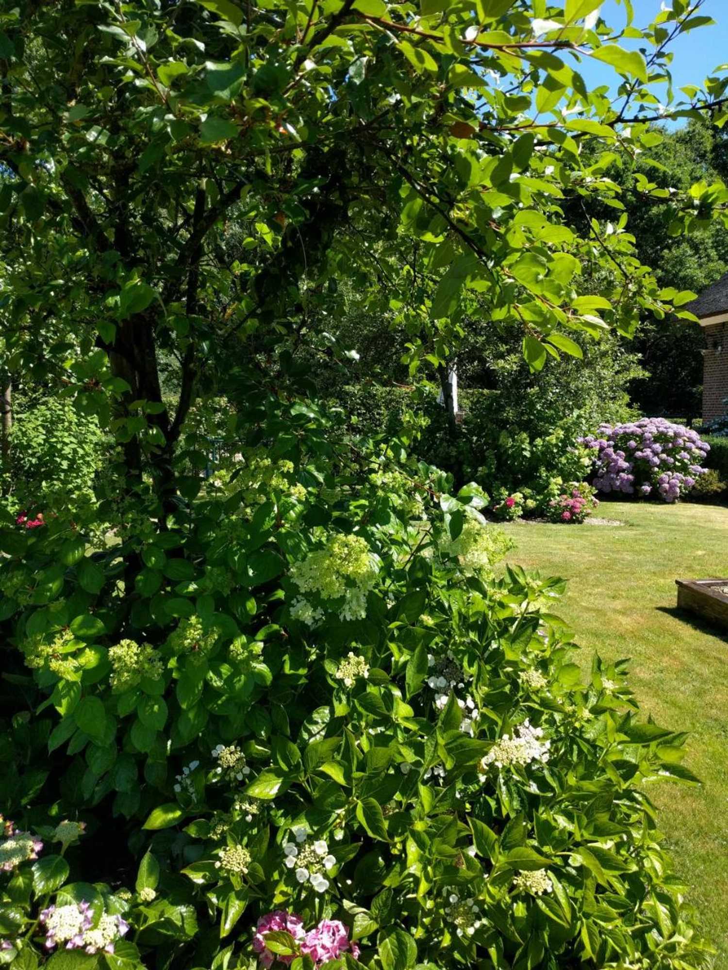 Gift card for B&b Agnetenhoeve