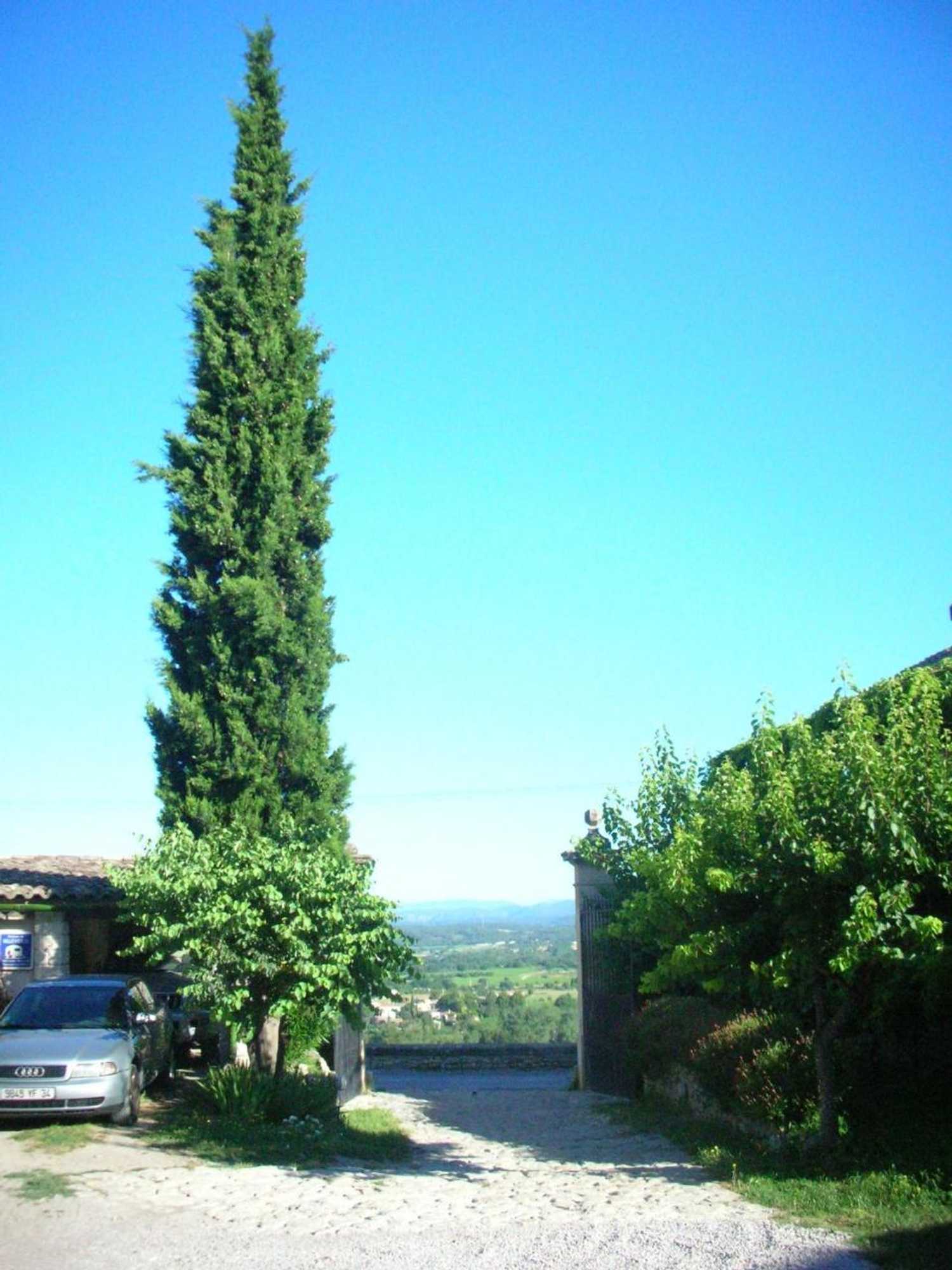 Gift card for La Migrane