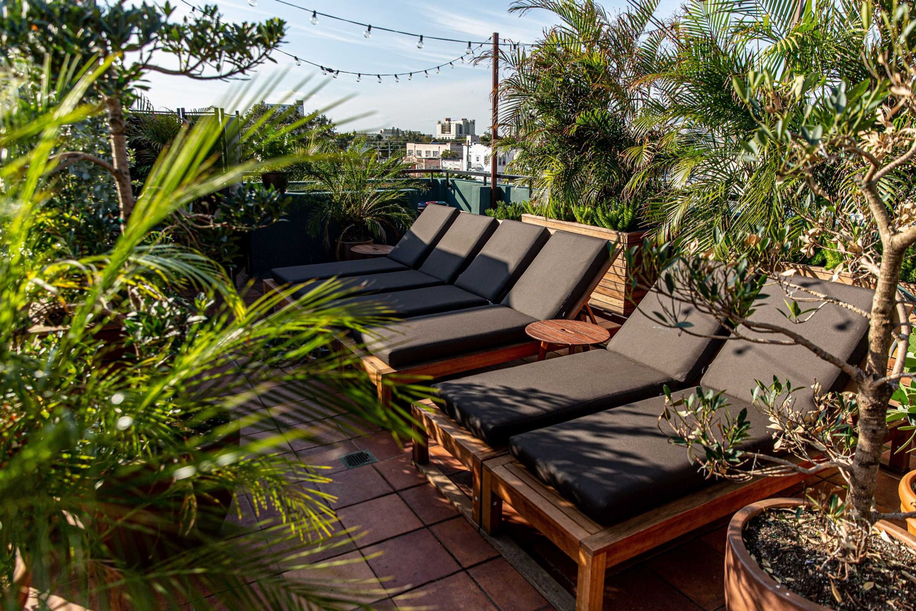 Gift card for Life House, Little Havana