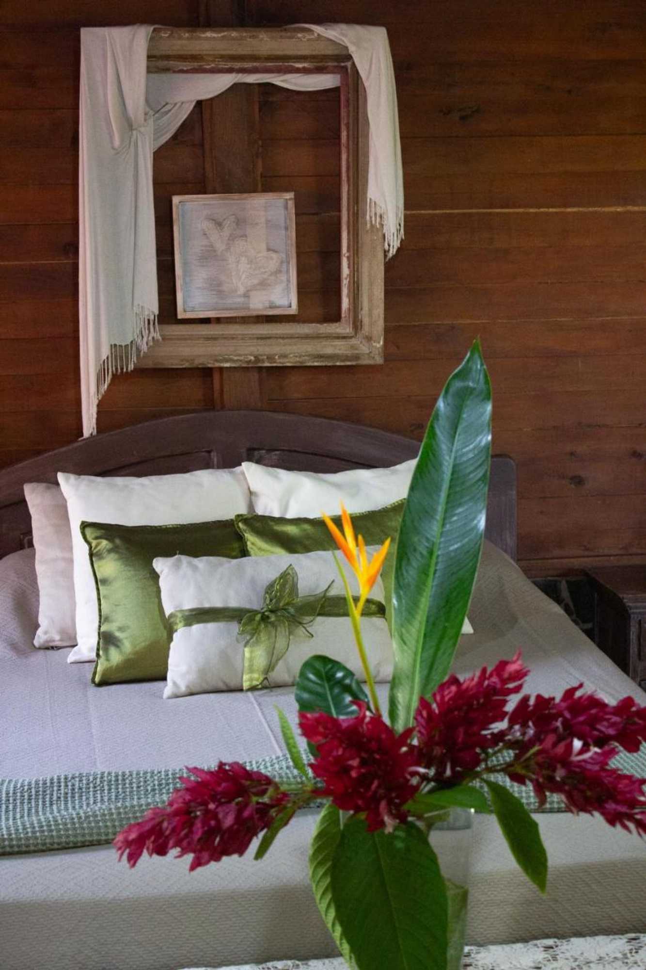 Gift card for The House of Hummingbird