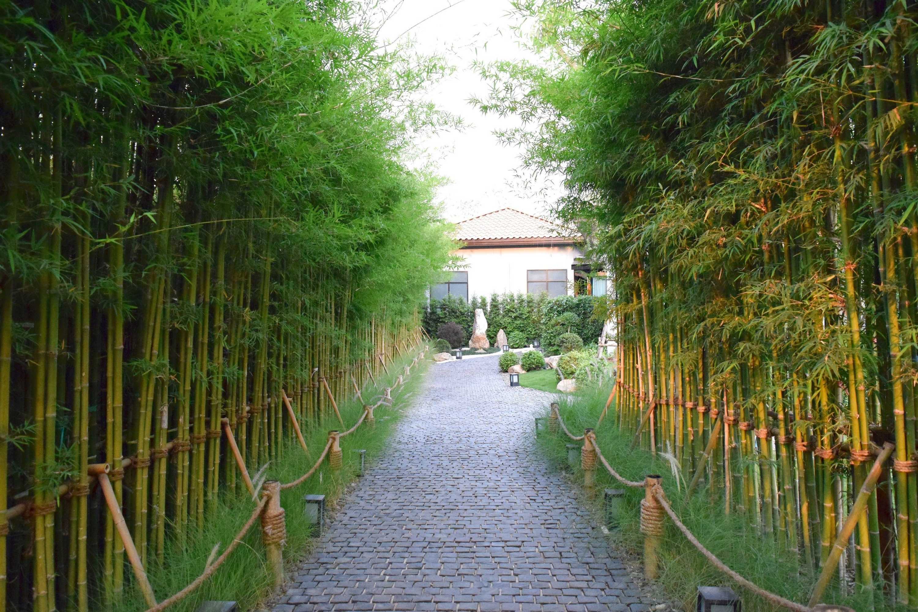 Gift card for Zen Villa Khao Yai Gift card for Zen Villa Khao Yai