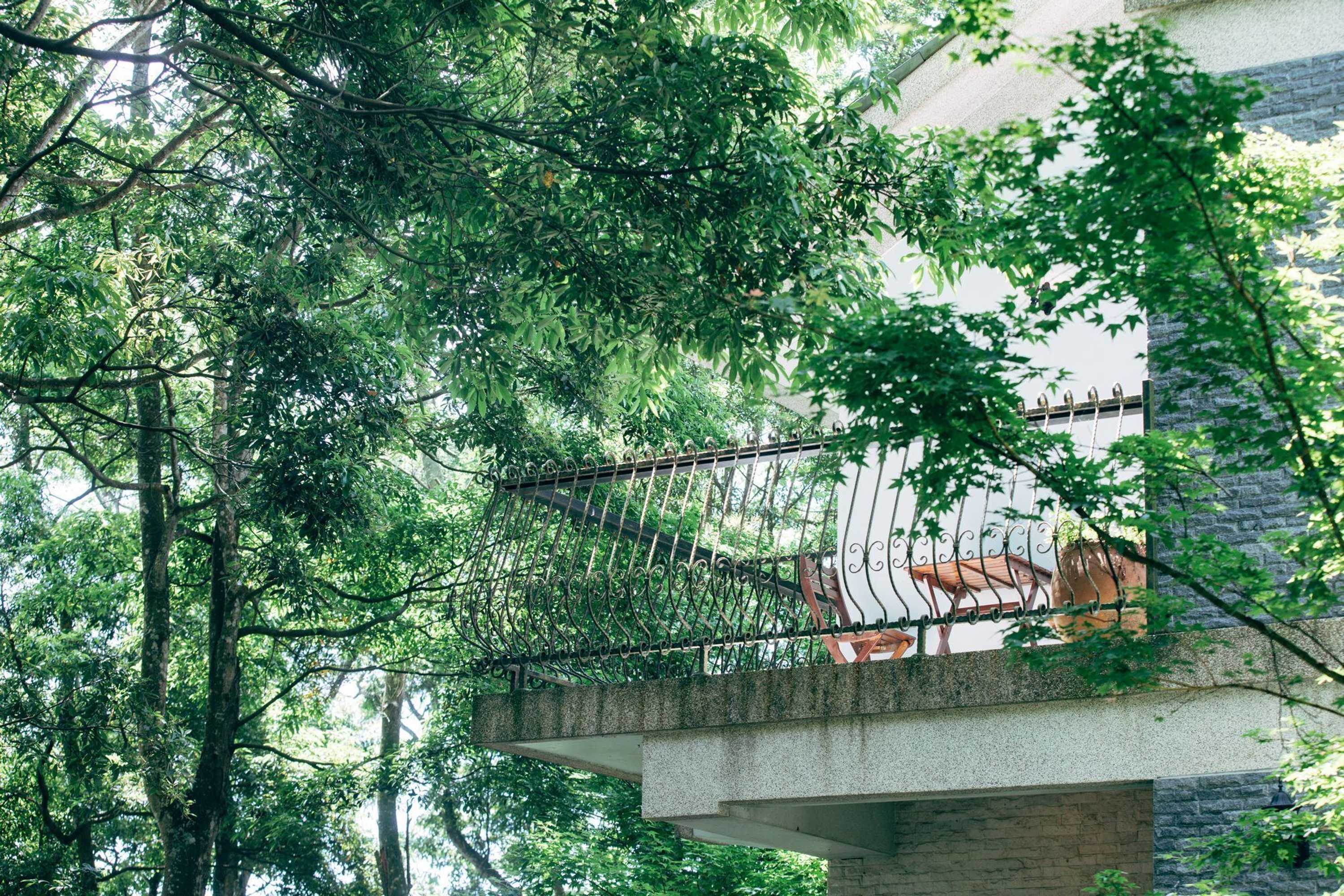 Gift card for Lvbolang by Reindeer, Sanyi