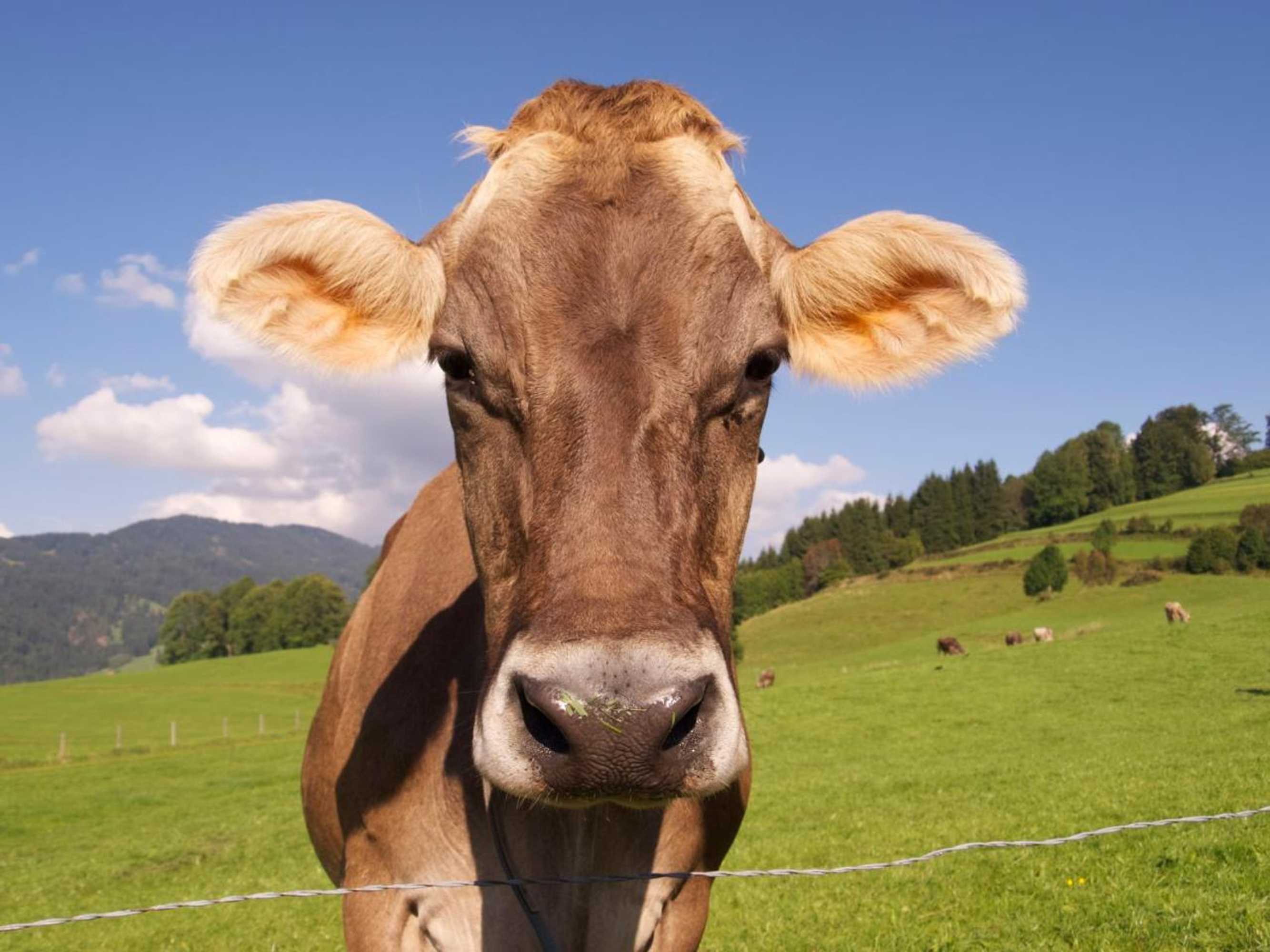 Gift card for Panorama Hotel Kaserer