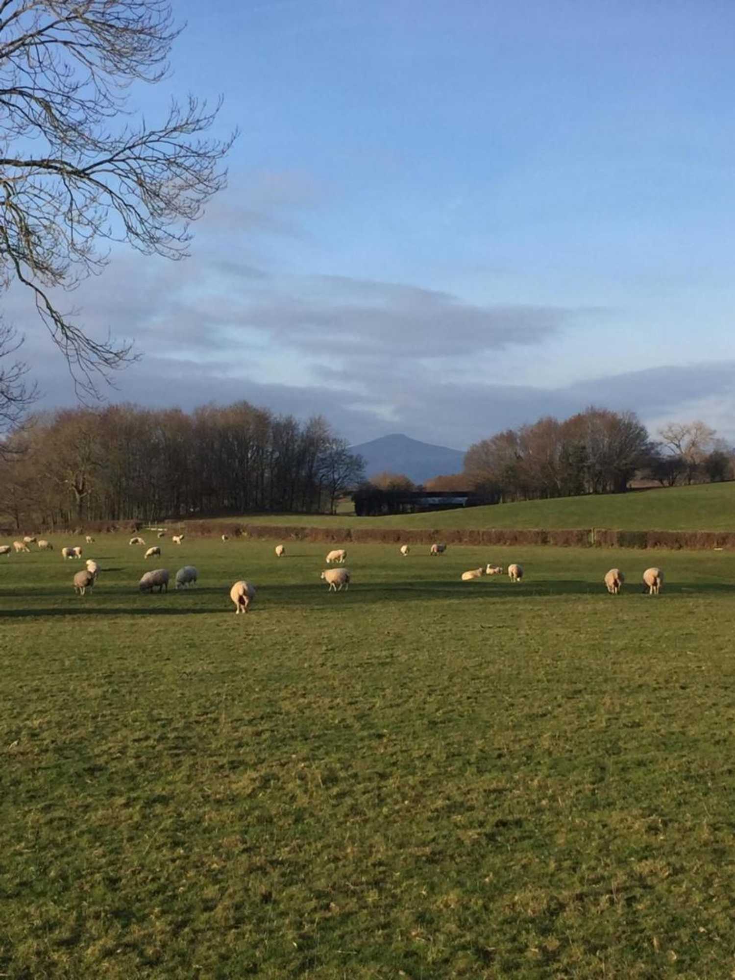 Gift card for Rectory Cottage