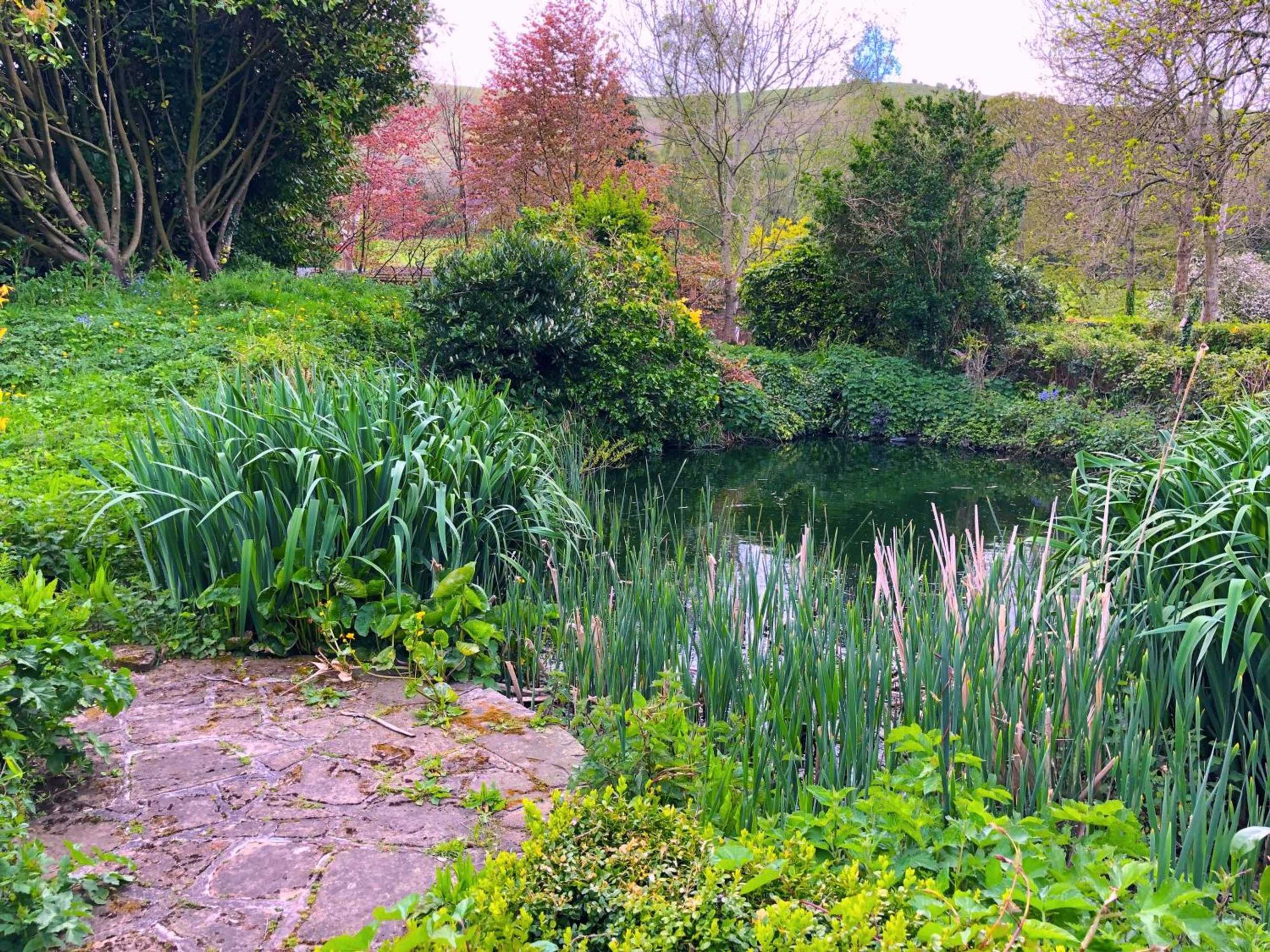 Gift card for Tovey Lodge