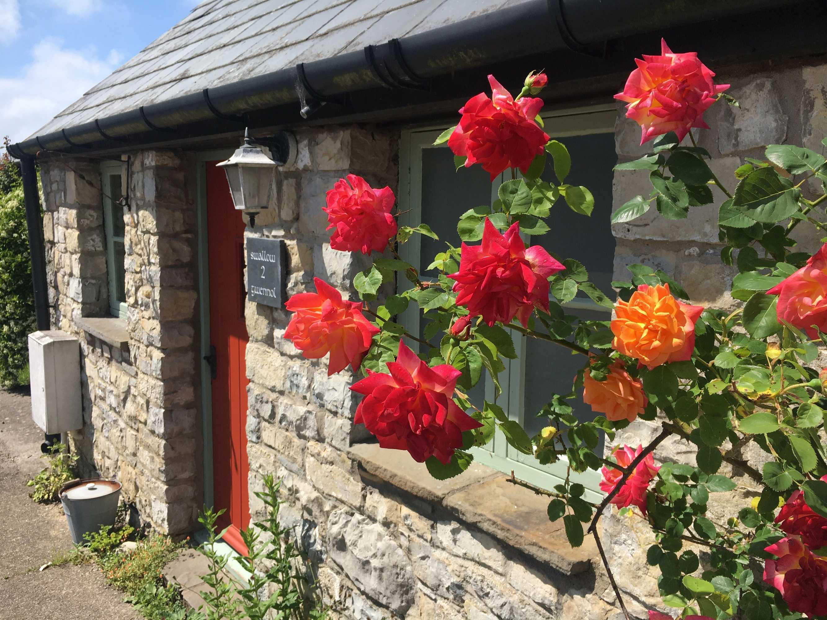 Gift card for Moorshead Farm