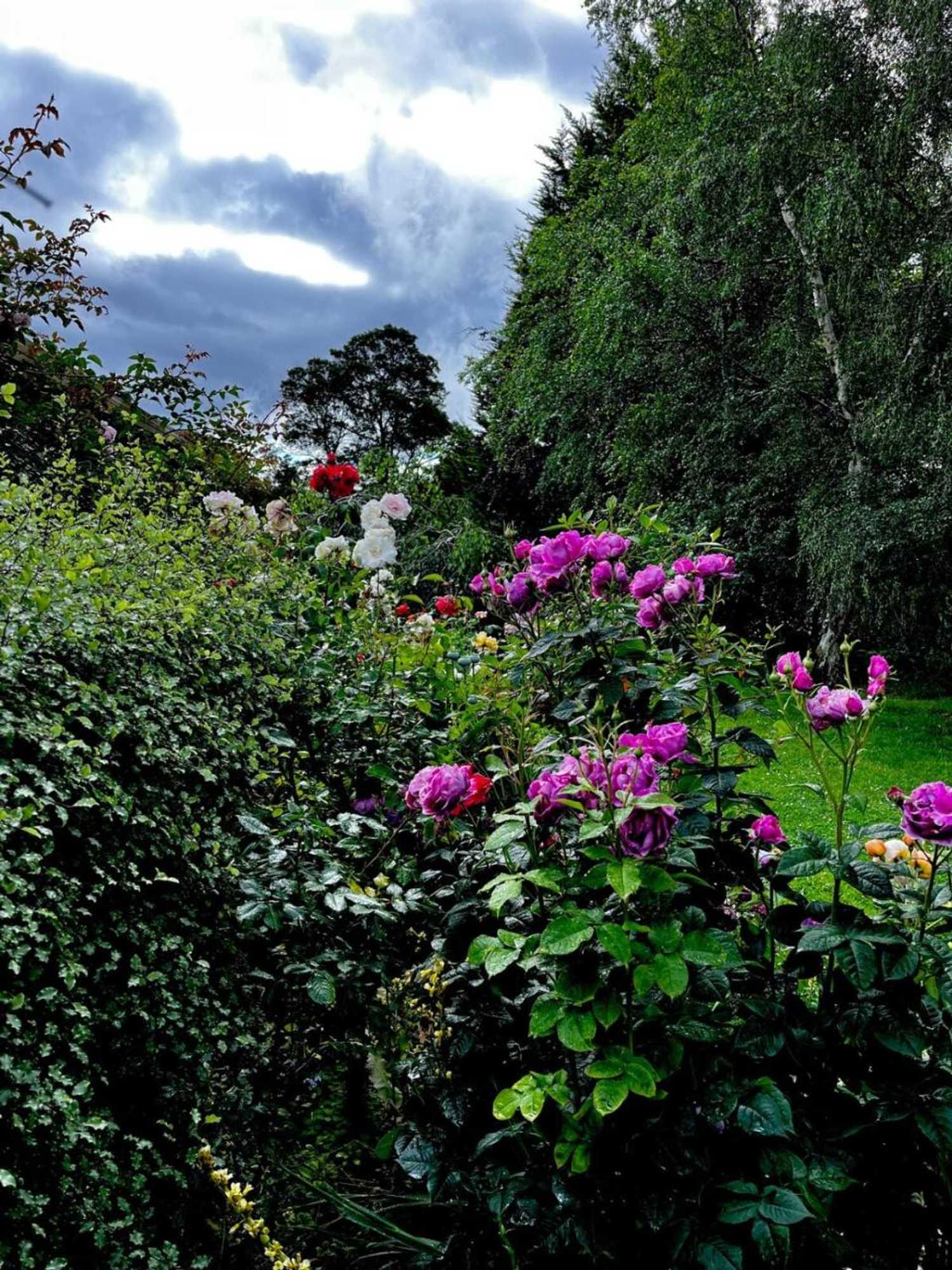 Gift card for Green Gables B&b