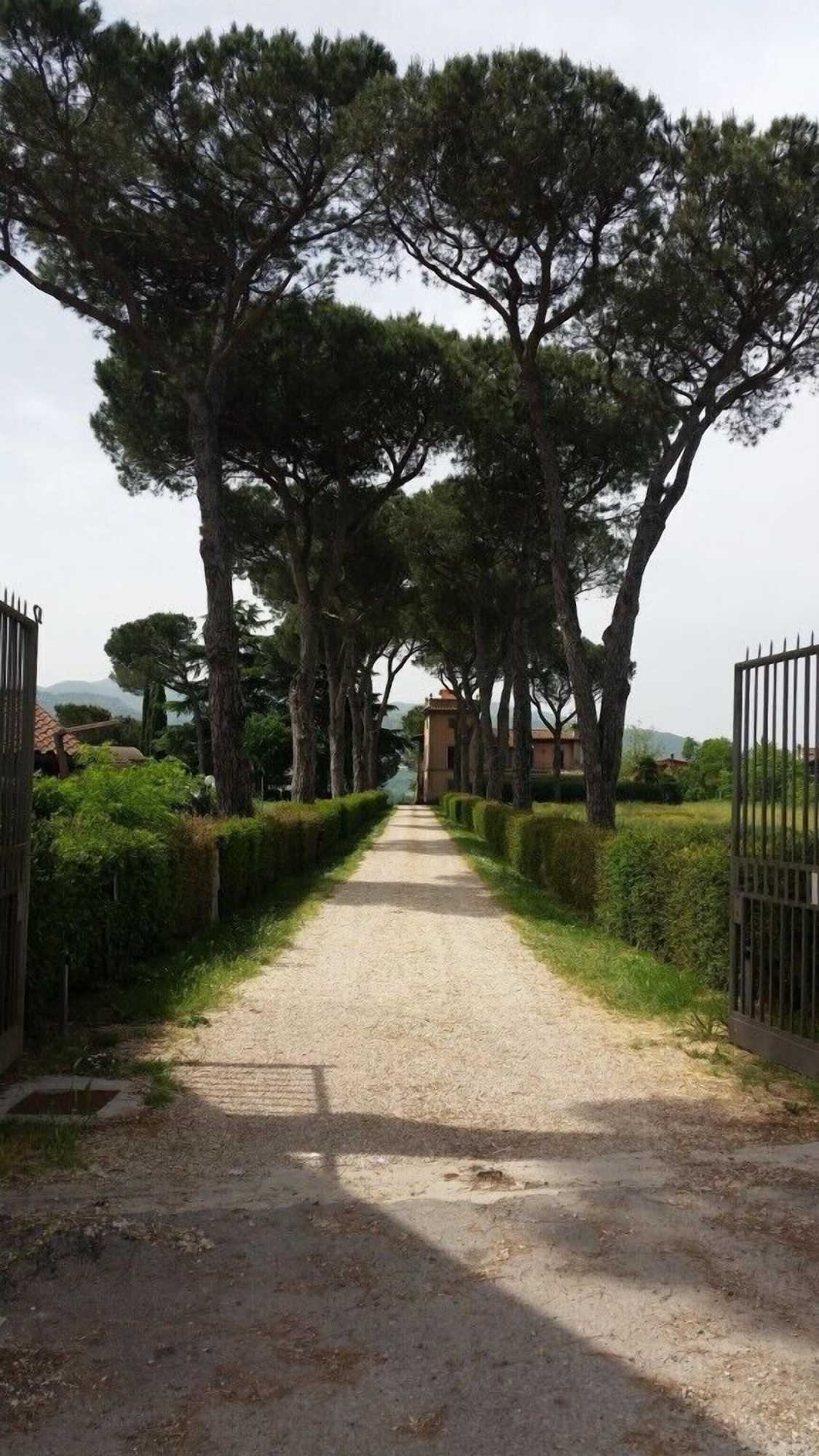 Gift card for Tenuta Terre Dei Latini Gift card for Tenuta Terre Dei Latini