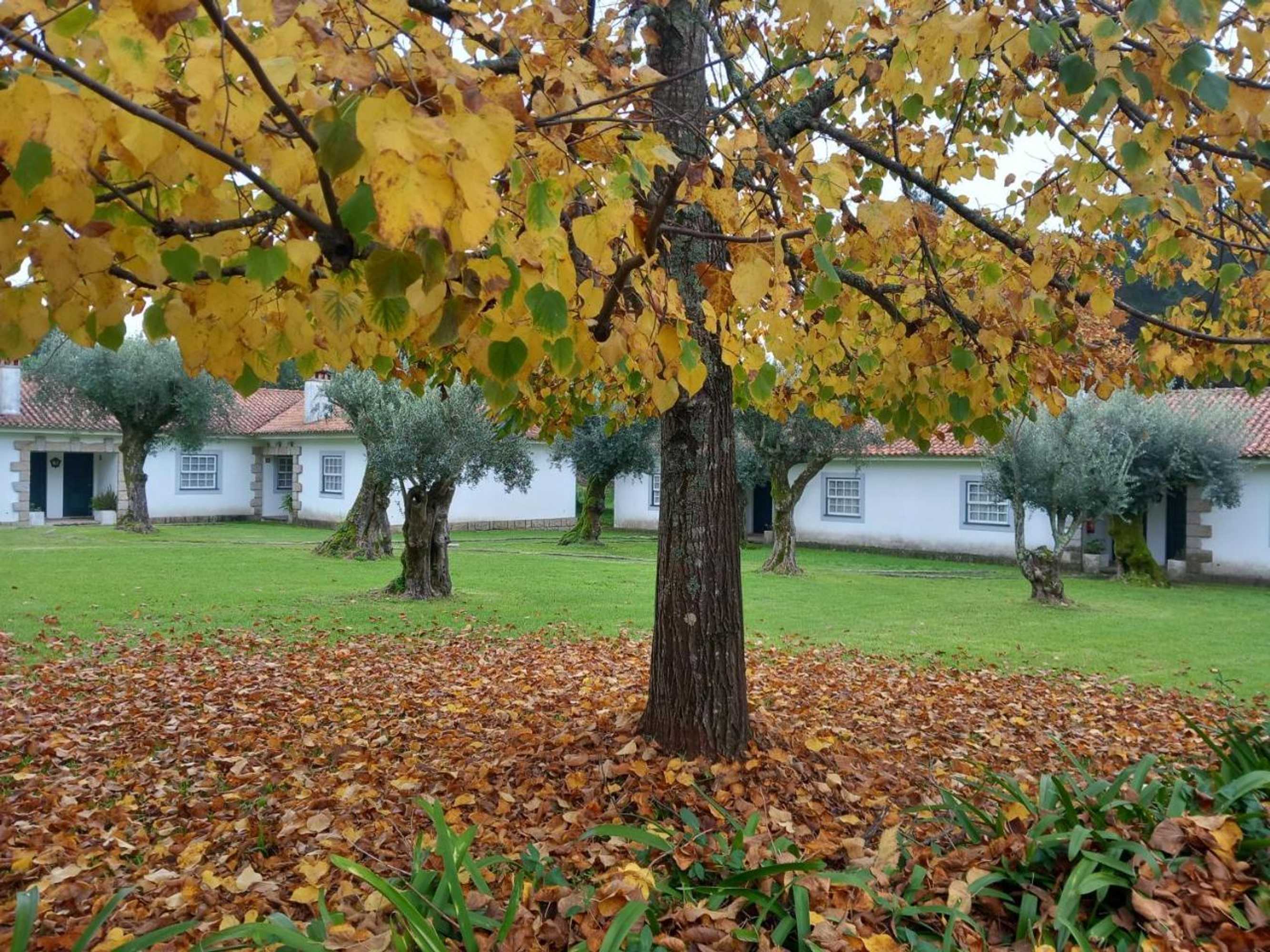 Gift card for Casas Do Zagao