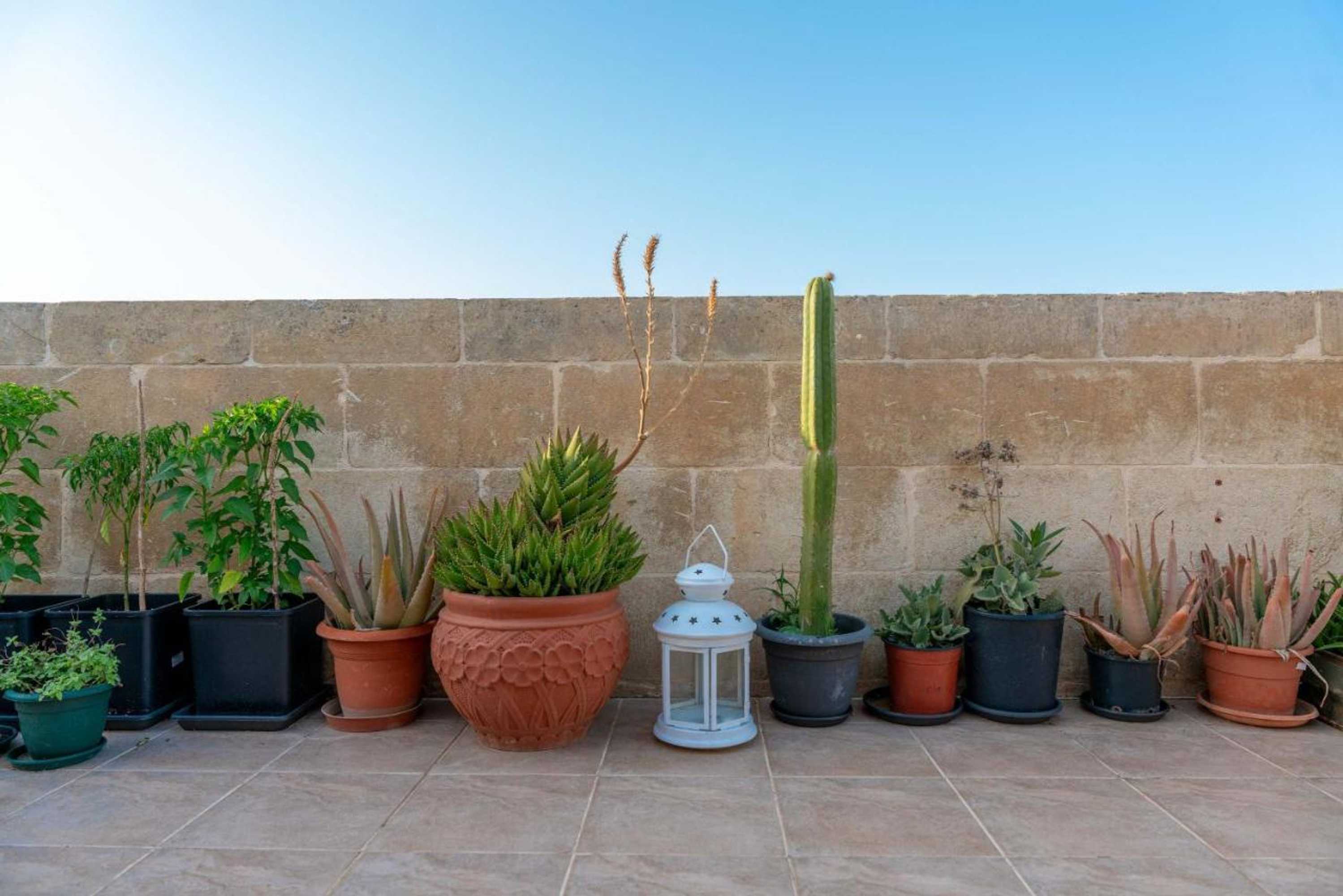 Gift card for Laremi Gozo B&b