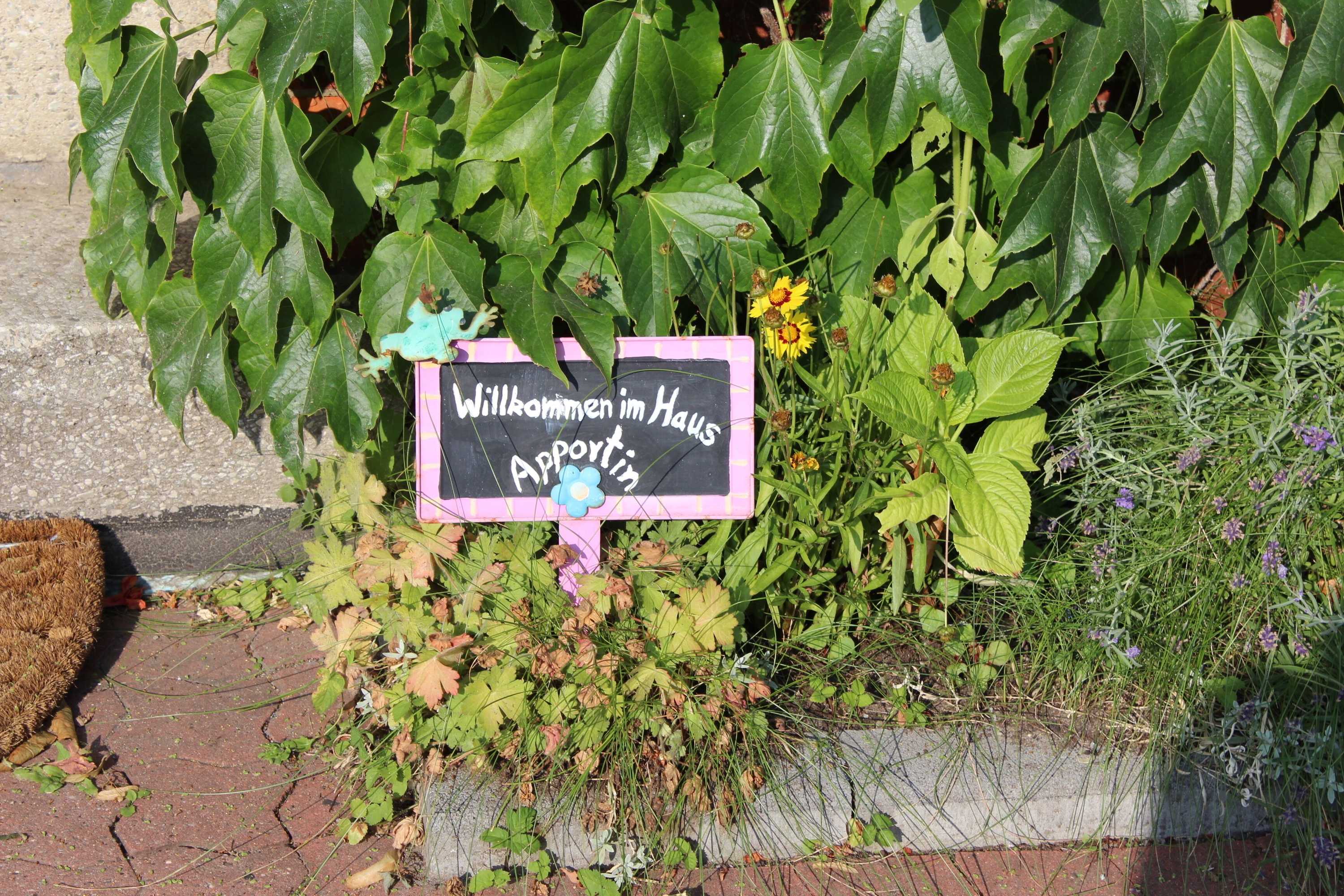 Gift card for Haus Apportin