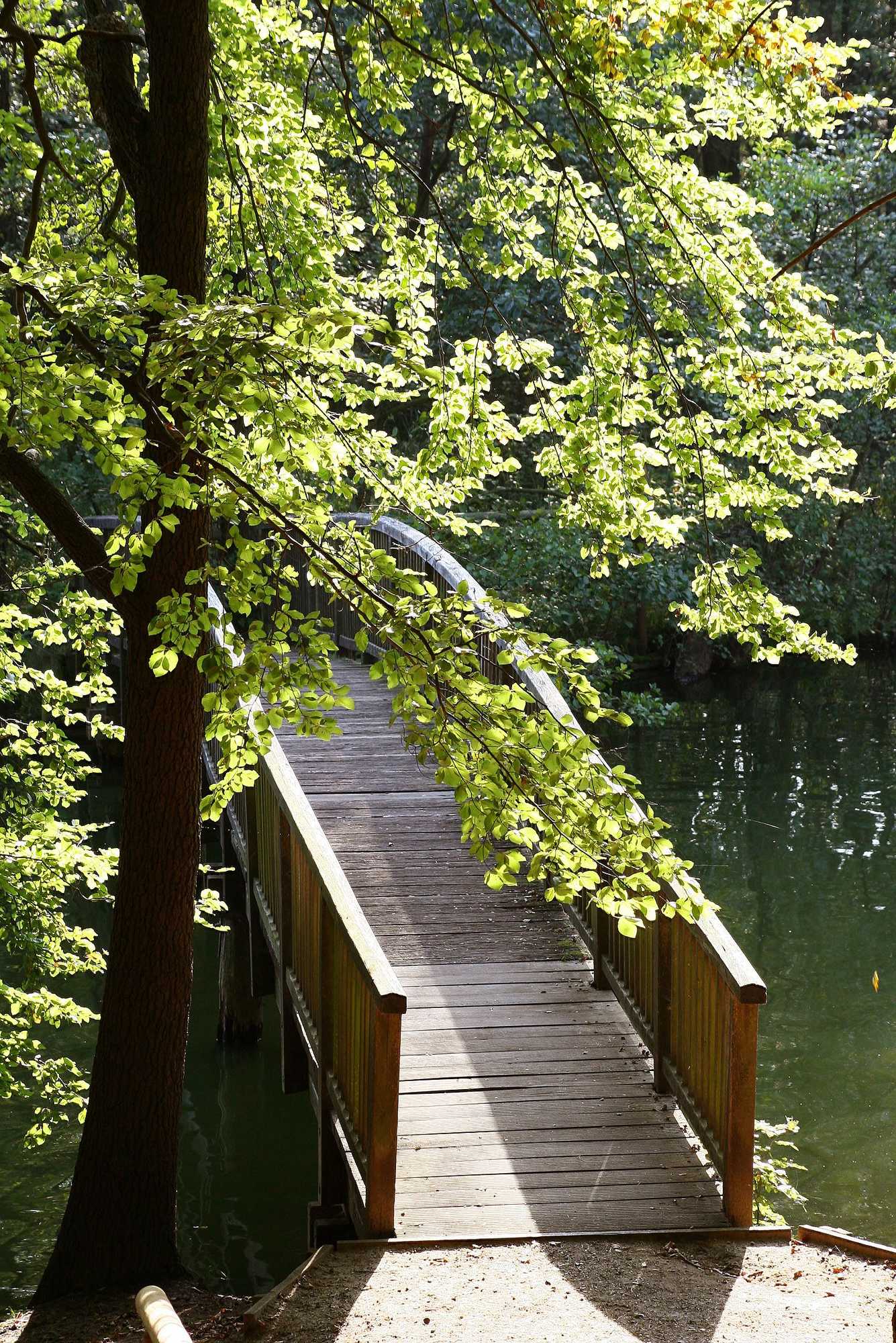 Gift card for Hotel Waldhalle Gift card for Hotel Waldhalle