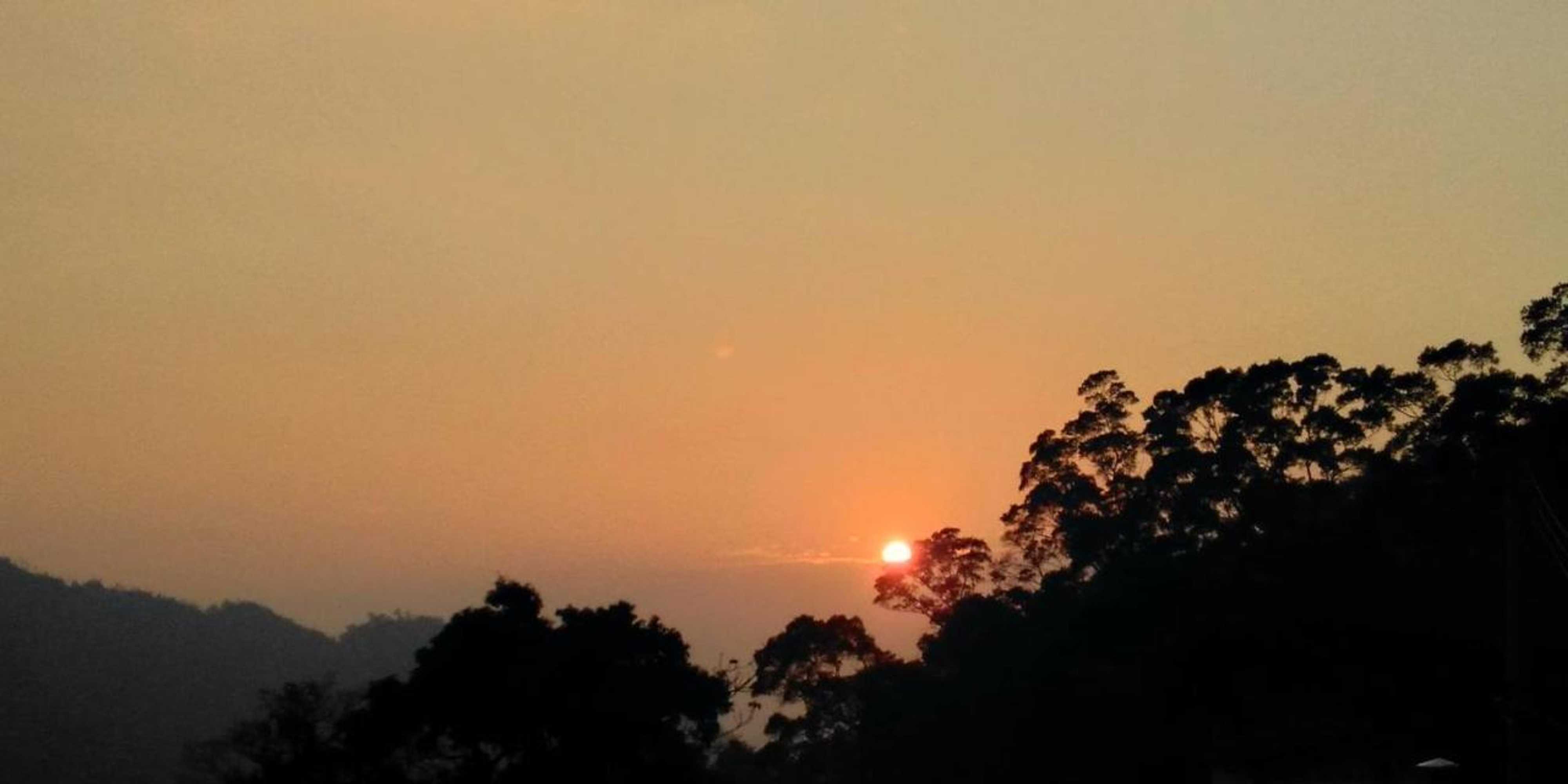 Gift card for Yun Ting Orchid Garden