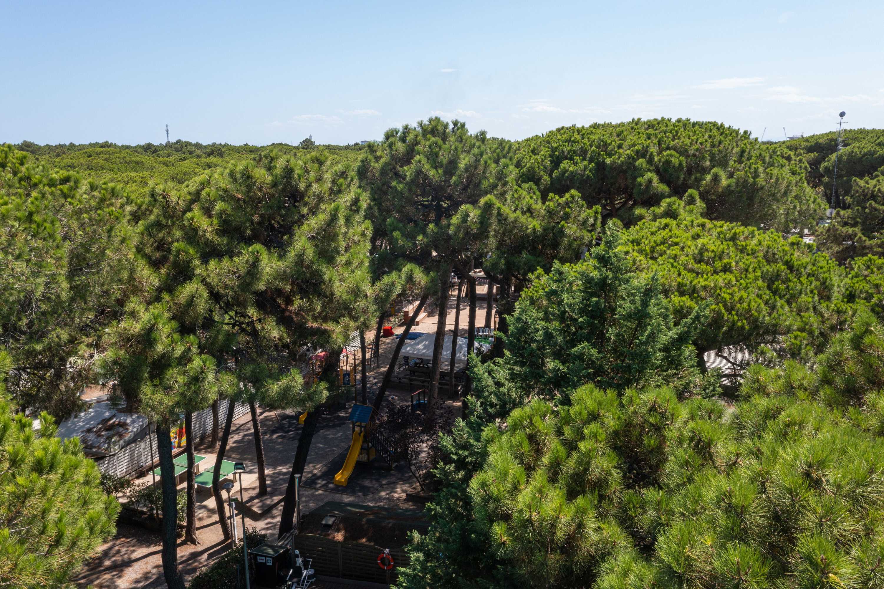 Gift card for Club Del Sole Marina Romea Easy Camping Village Gift card for Club Del Sole Marina Romea Easy Camping Village