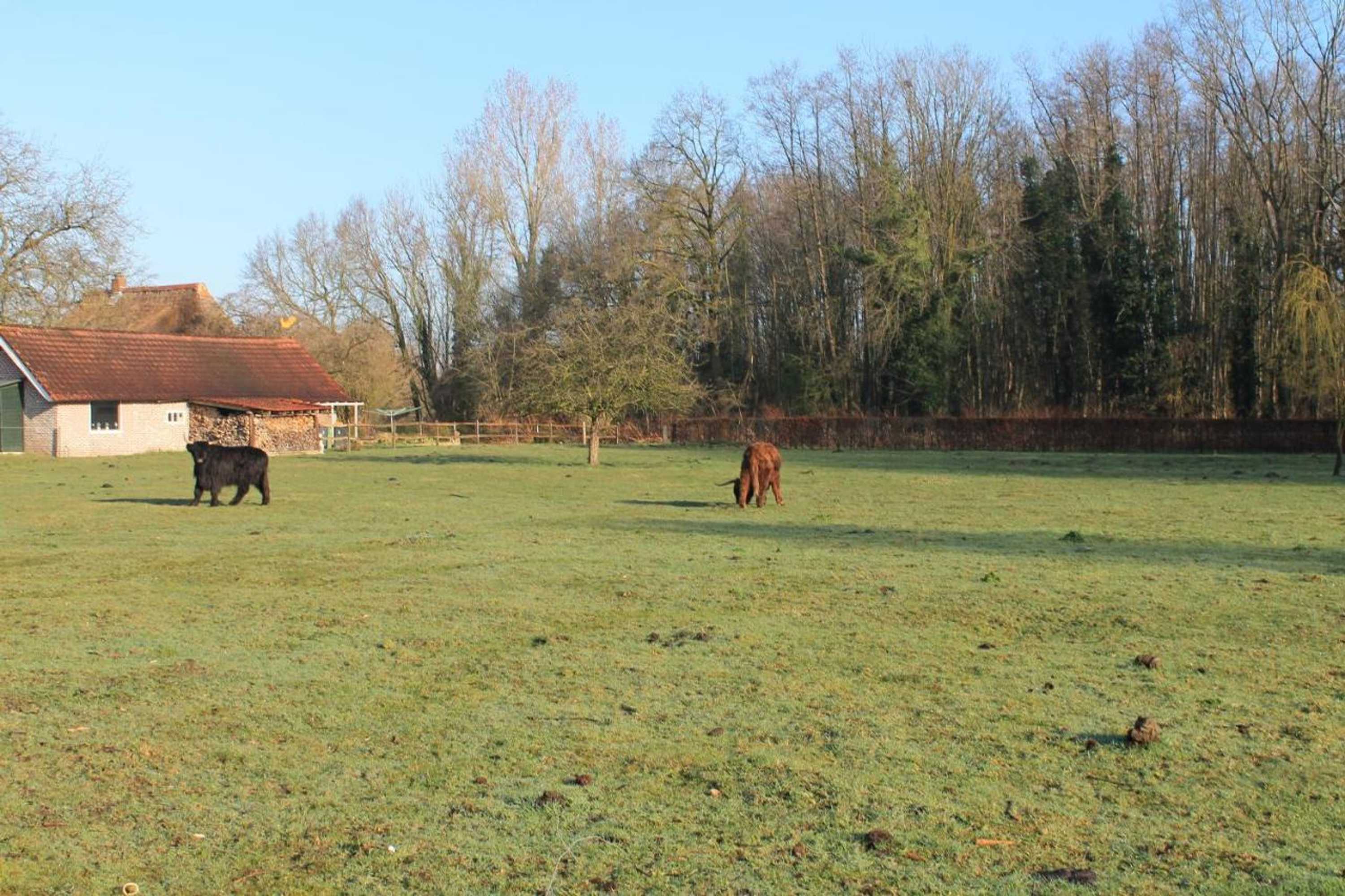 Gift card for Gastenverblijf Peppelmate