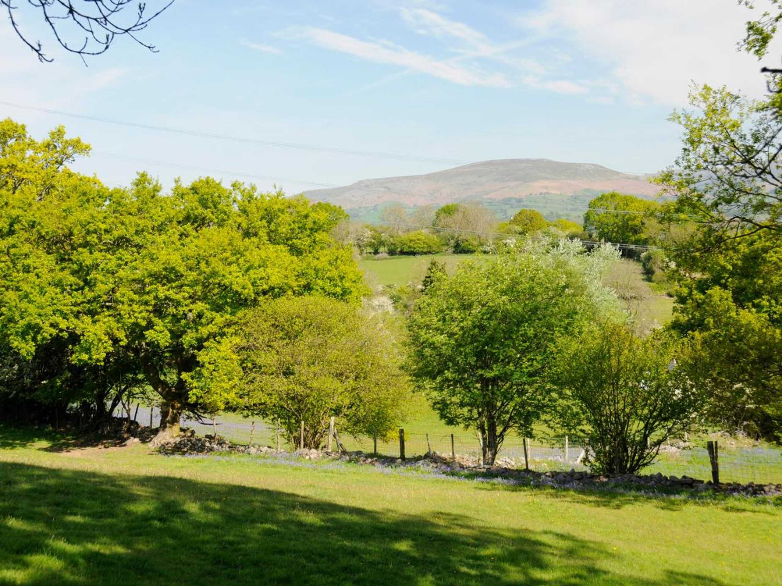 Gift card for Black Cat Bach