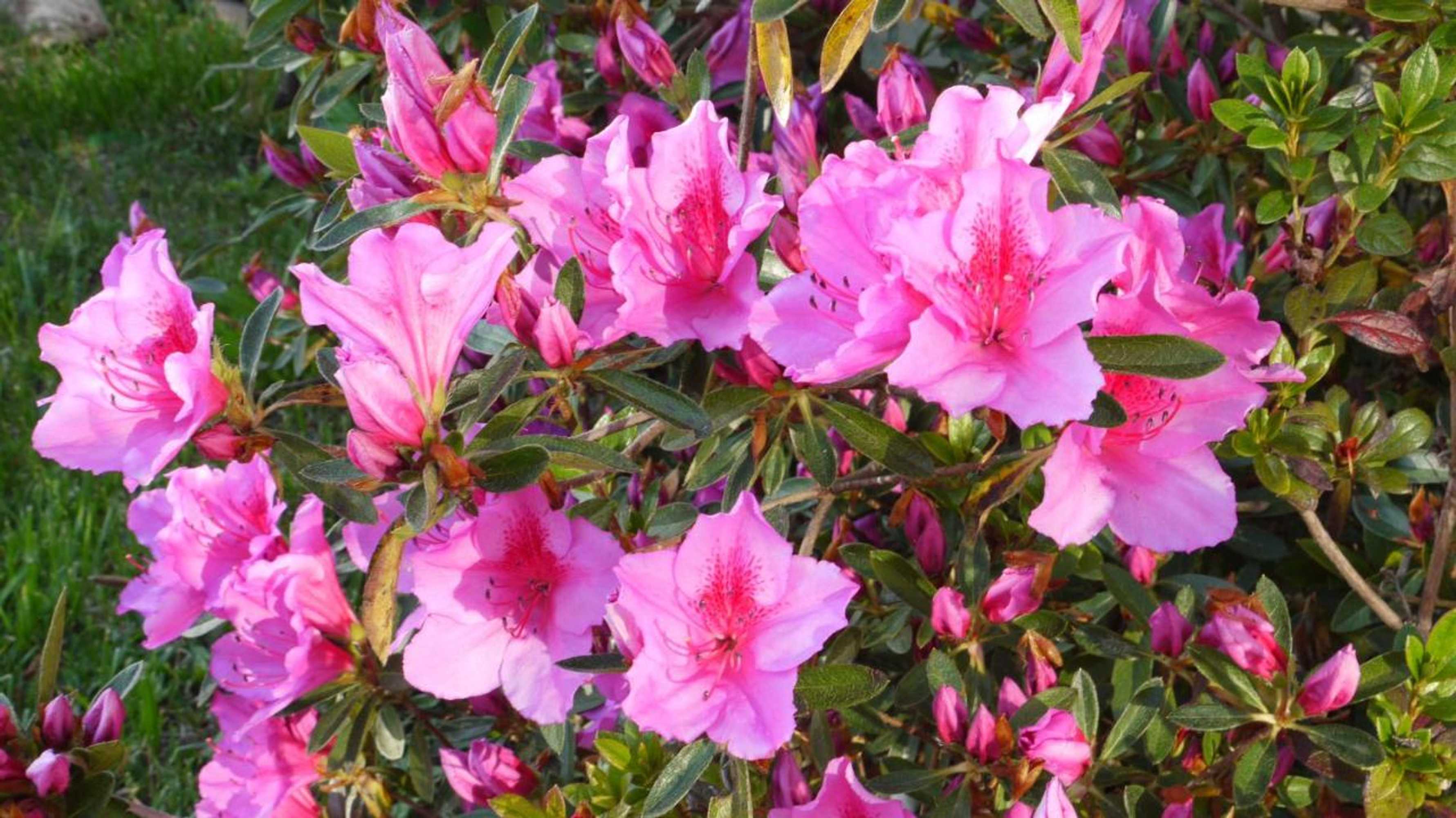 Gift card for Quinta Das Leiras - Rubiães