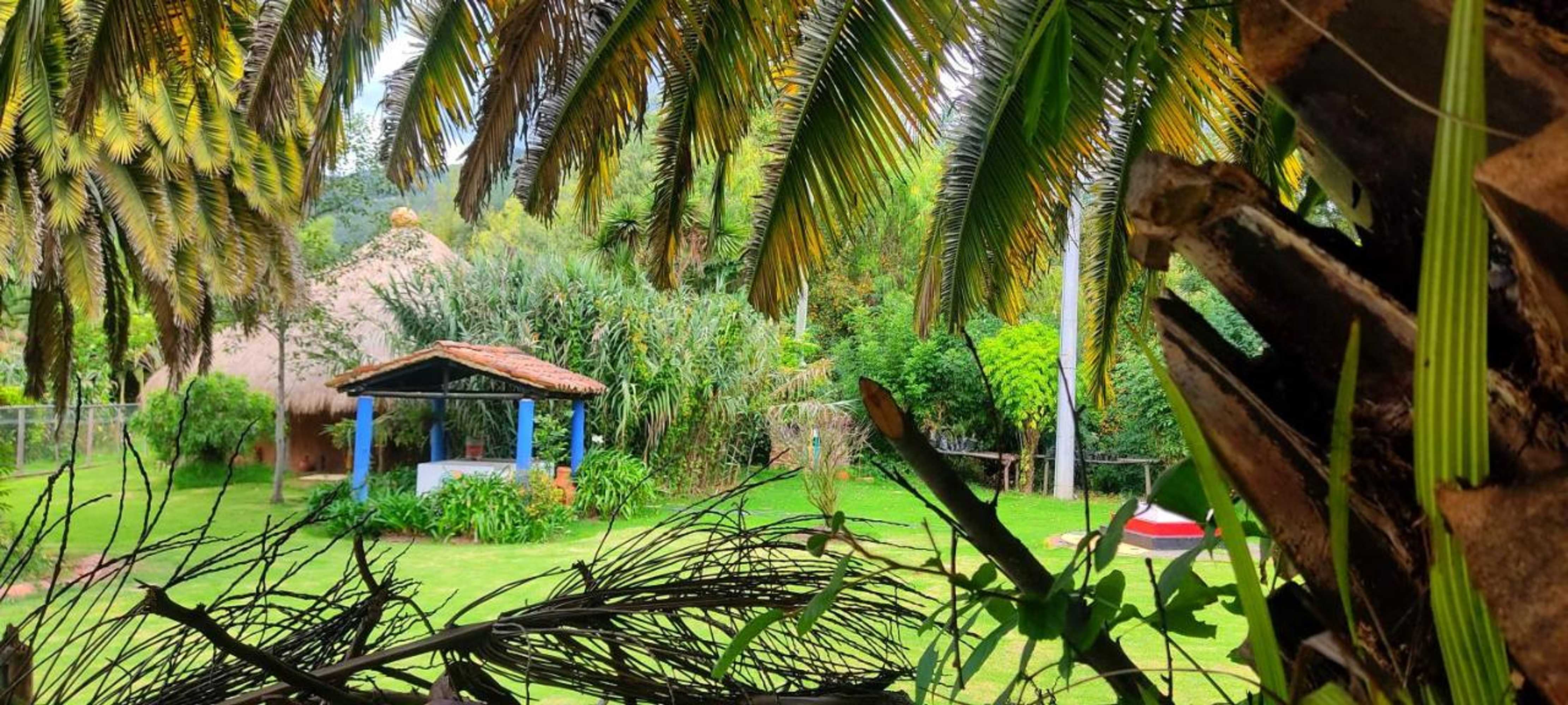 Gift card for Finca San Pedro -Alojamiento Campestre y Reserva Natural-