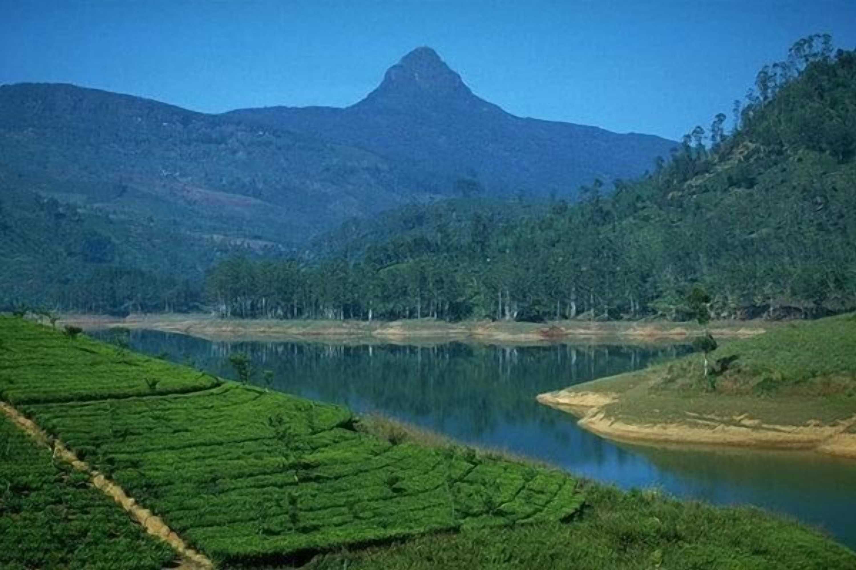 Gift card for Adams Peak Inn Gift card for Adams Peak Inn