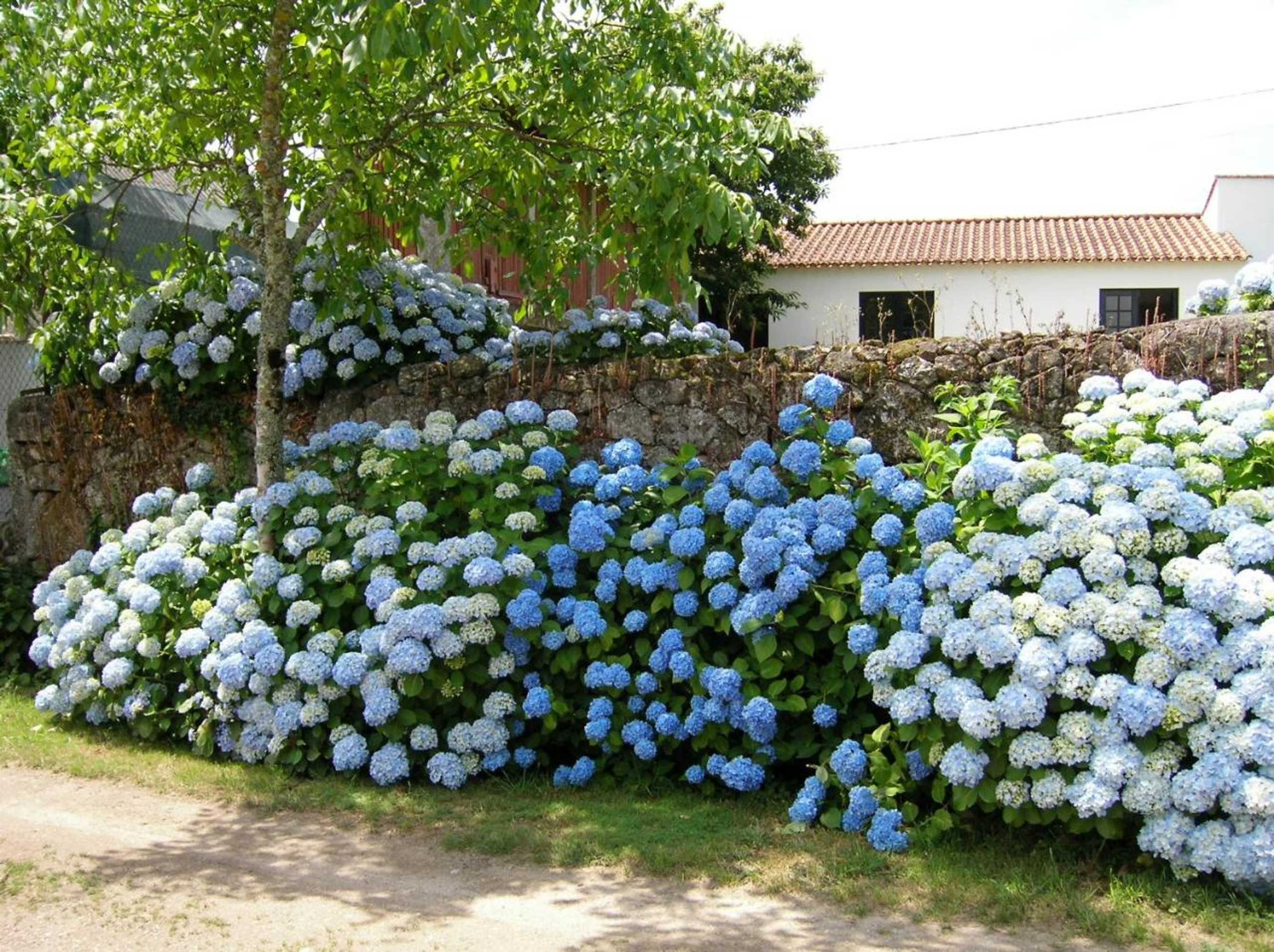 Gift card for Quinta de Luou