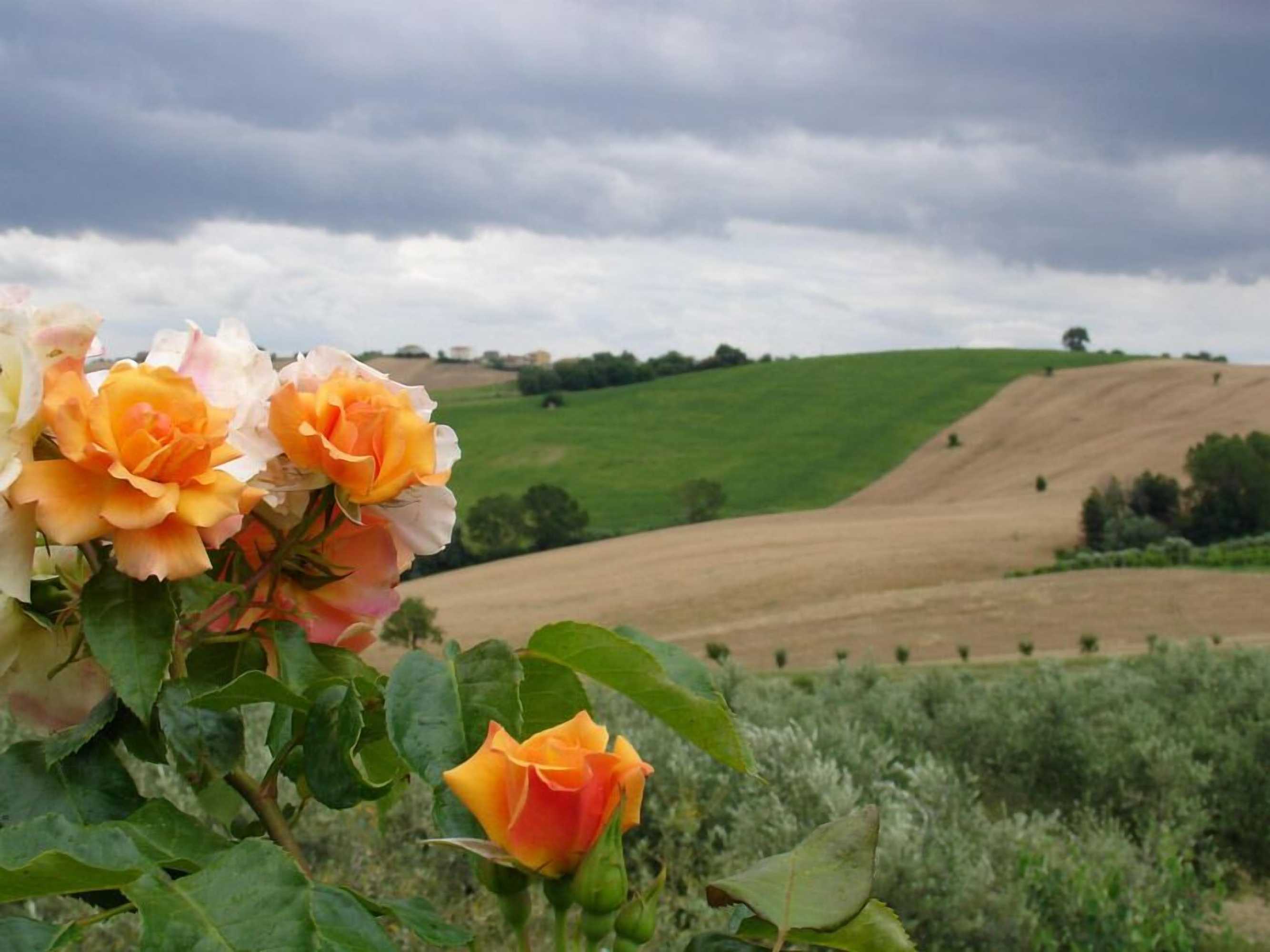 Gift card for Al Crepuscolo Agriturismo Gift card for Al Crepuscolo Agriturismo