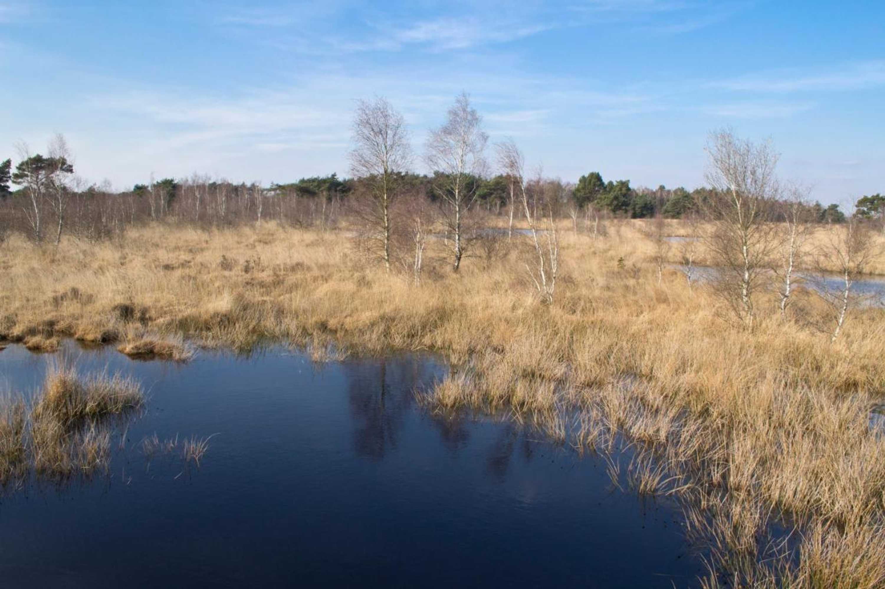 Gift card for Bed & Breakfast Maryland