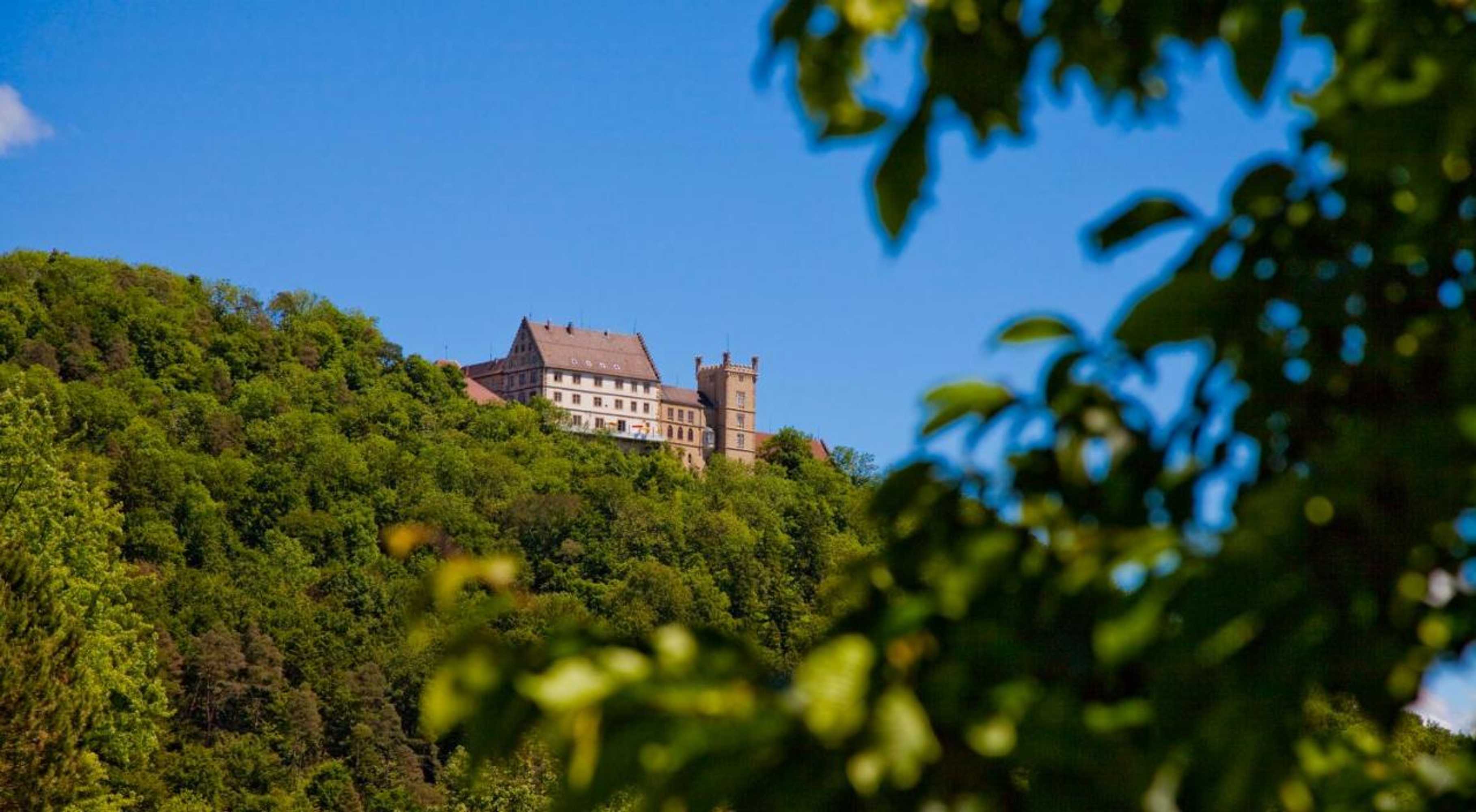 Gift card for Schloss Weitenburg