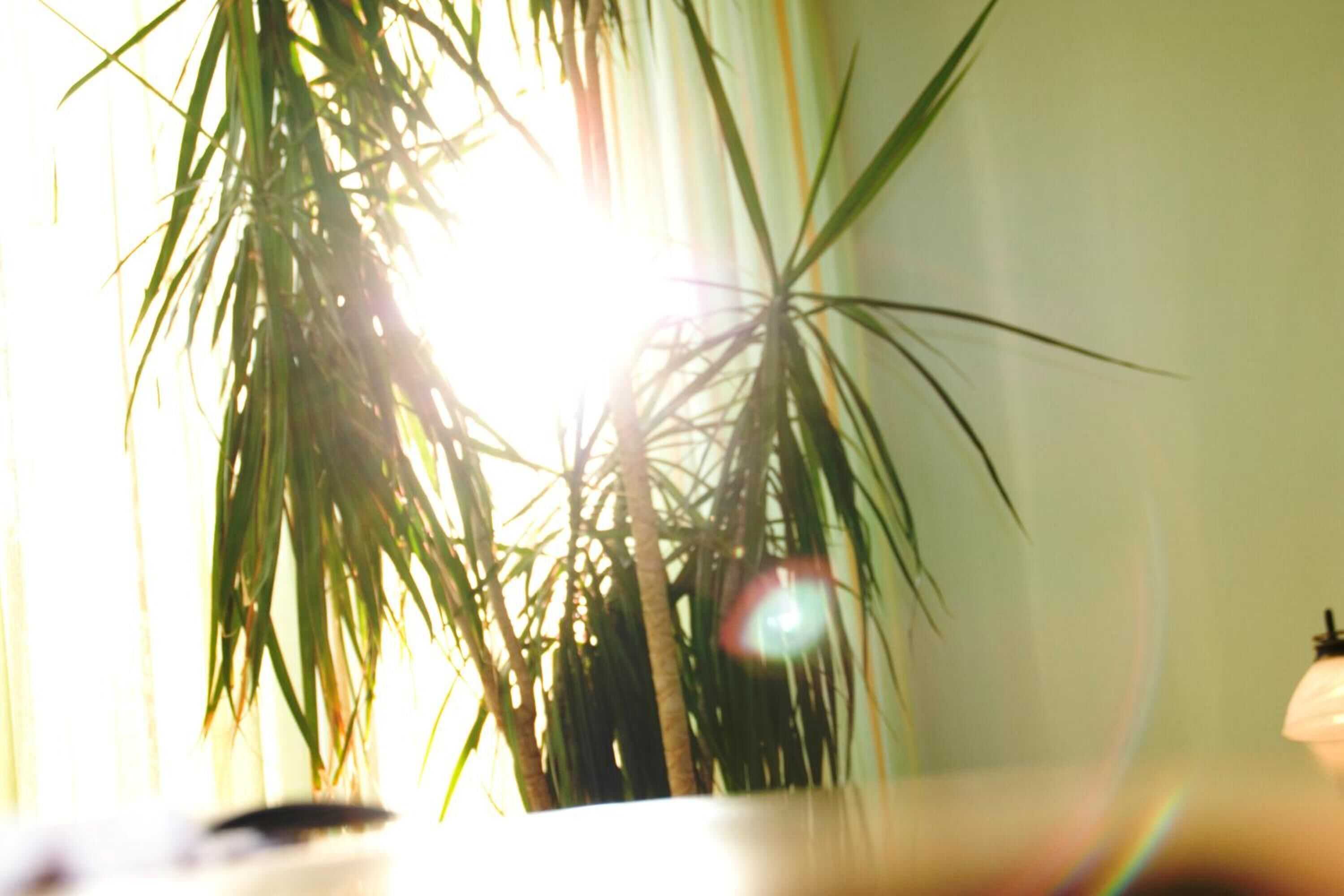 Gift card for Porta Vinea