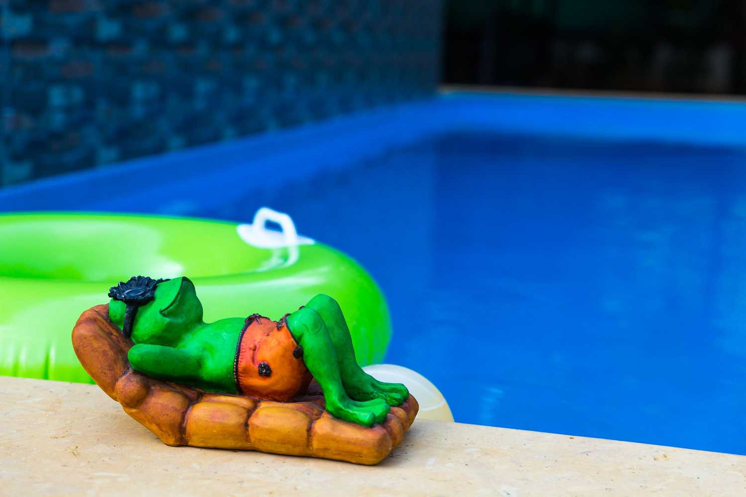 Gift card for Lazy Frog Goa