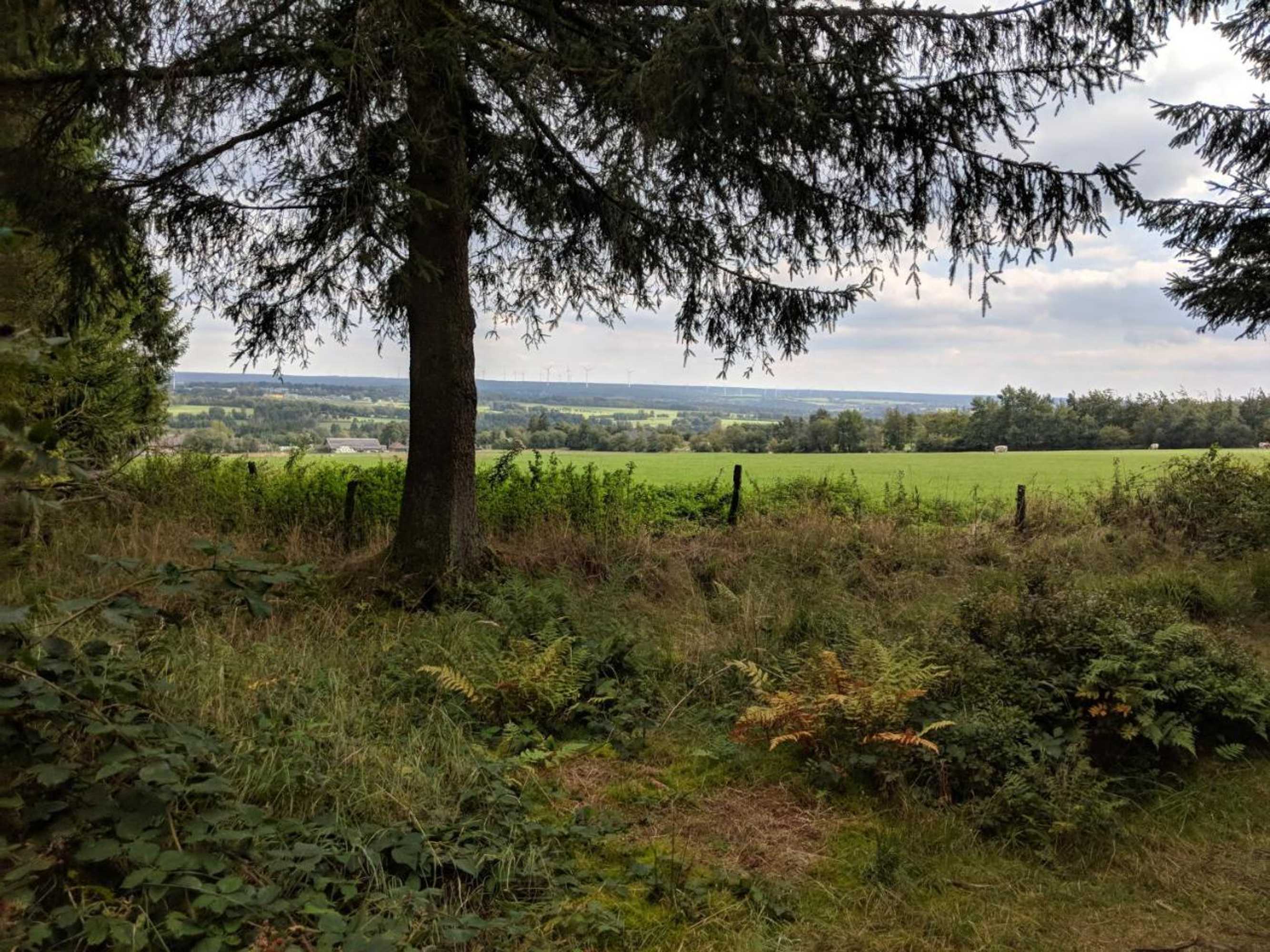 Gift card for Victorhof Landurlaub Deine Auszeit im Grünen, Umgeben Von Wald & Wiesen