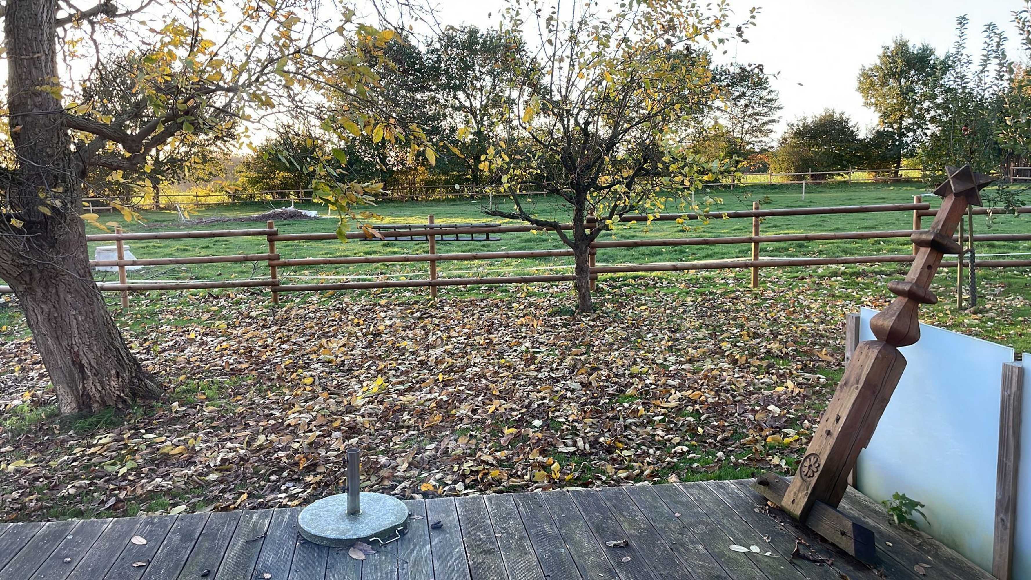 Gift card for Reiterhof Zwei Linden