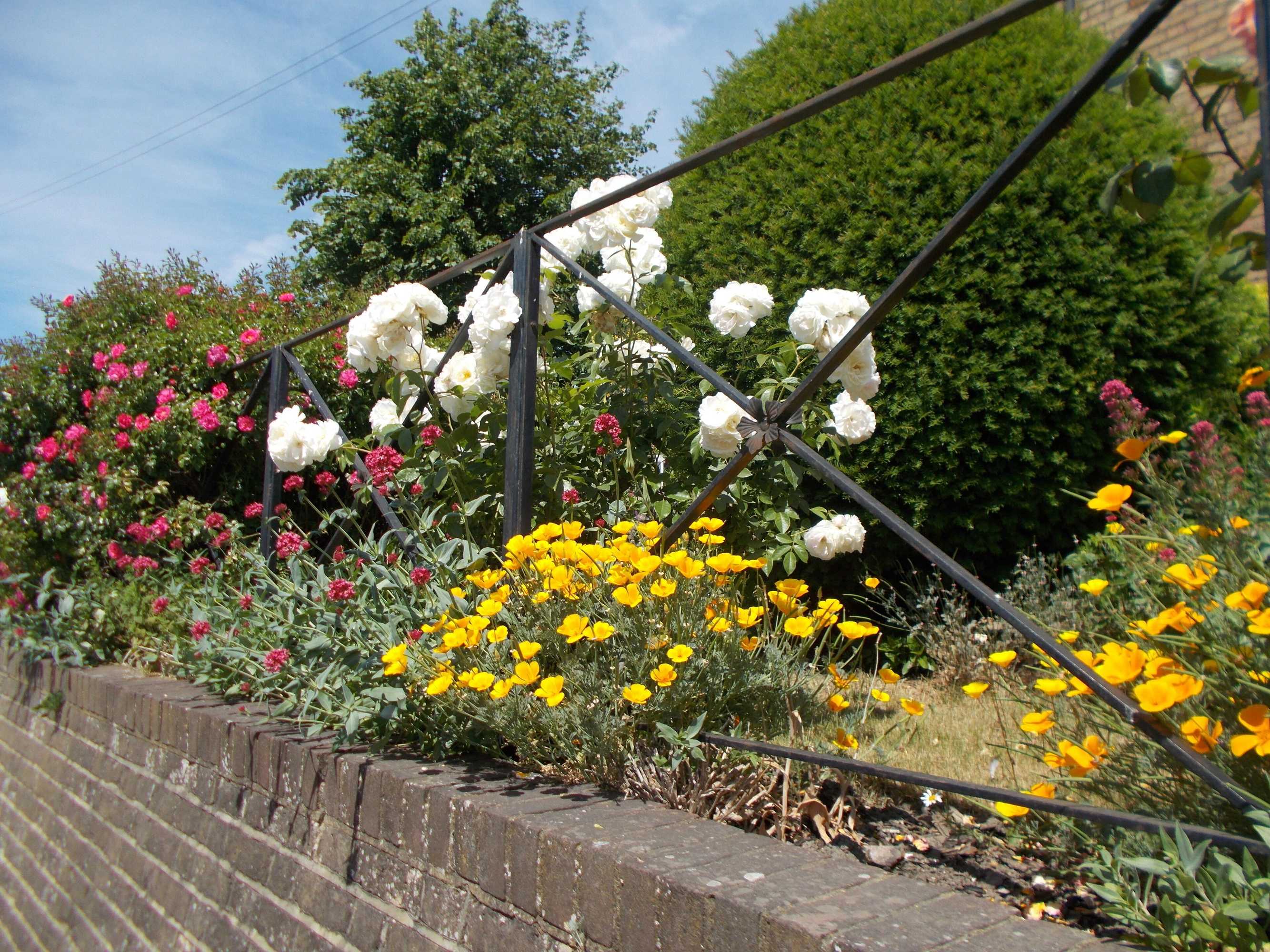 Gift card for The Beaumont