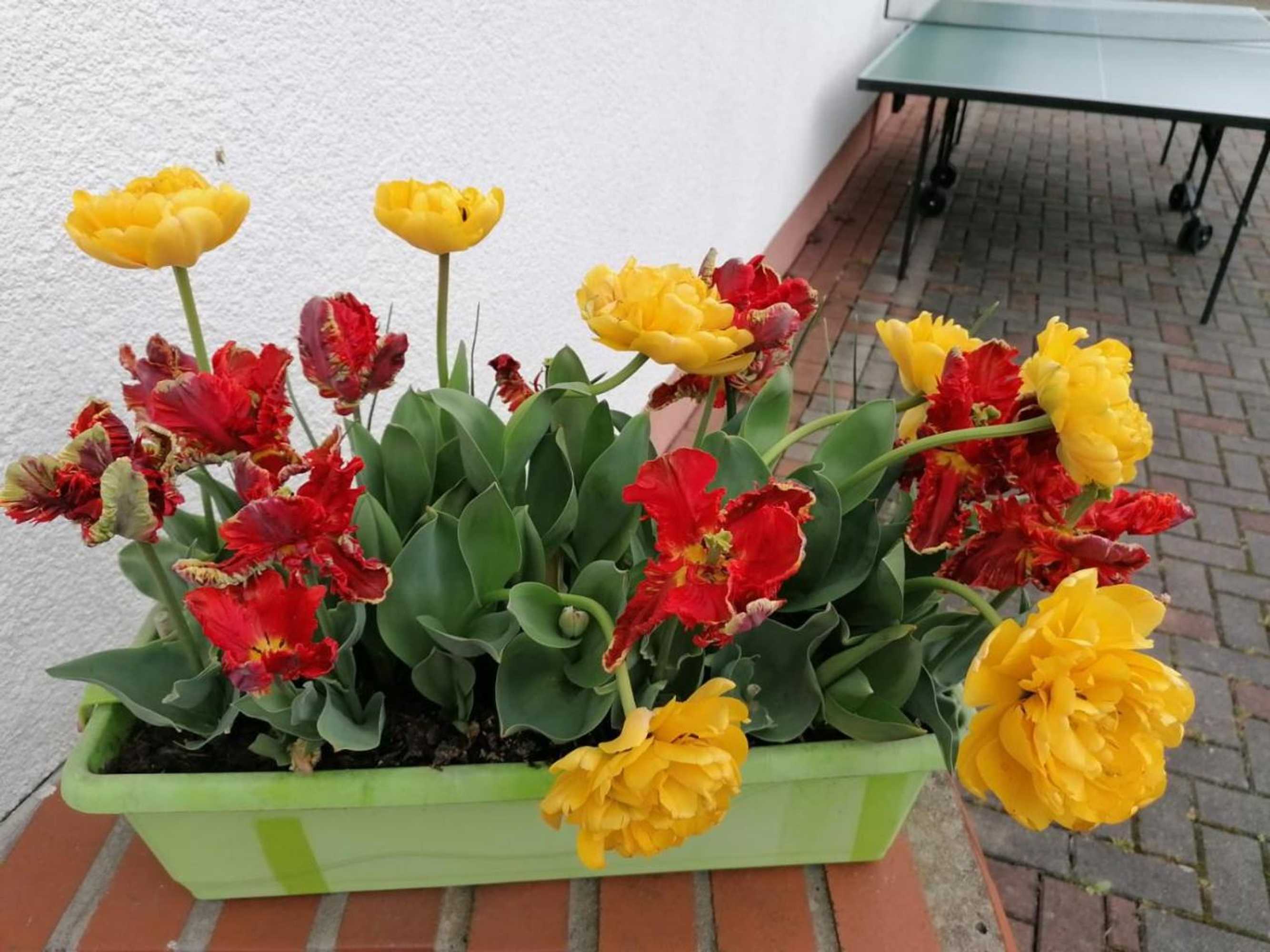 Gift card for Hotel Landhaus Nassau