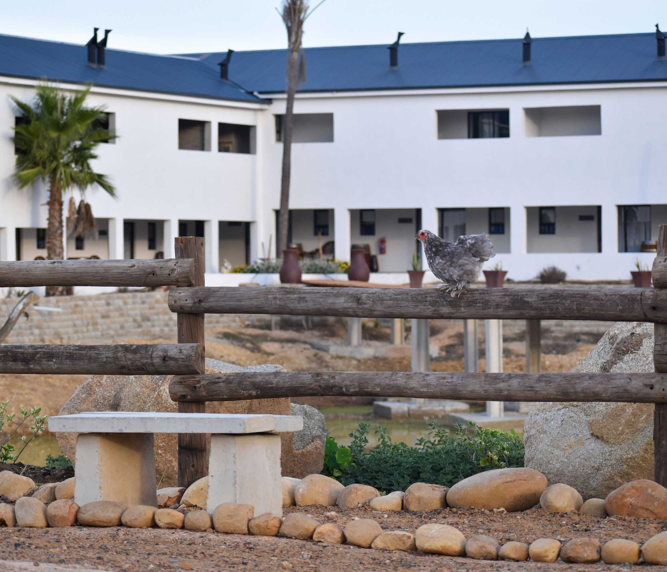 Gift card for Middelplaas Paarl Guesthouse Gift card for Middelplaas Paarl Guesthouse