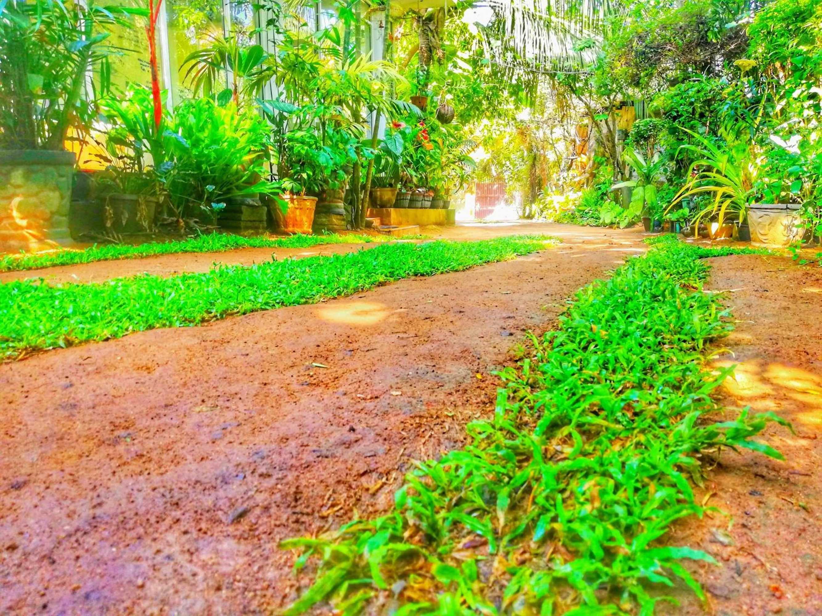 Gift card for Green Garden Resort