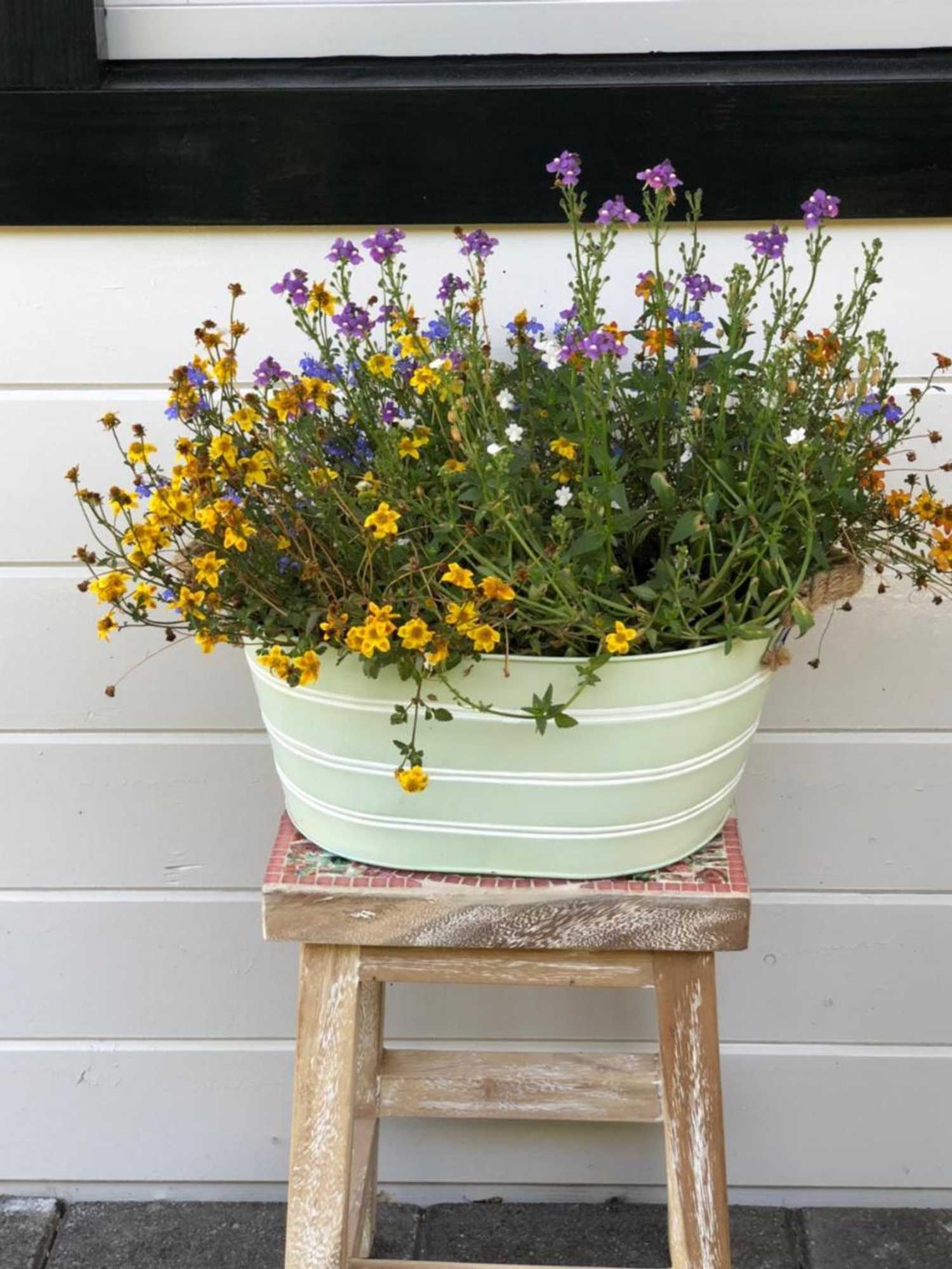 Gift card for Bed & Breakfast Zevenhuizen