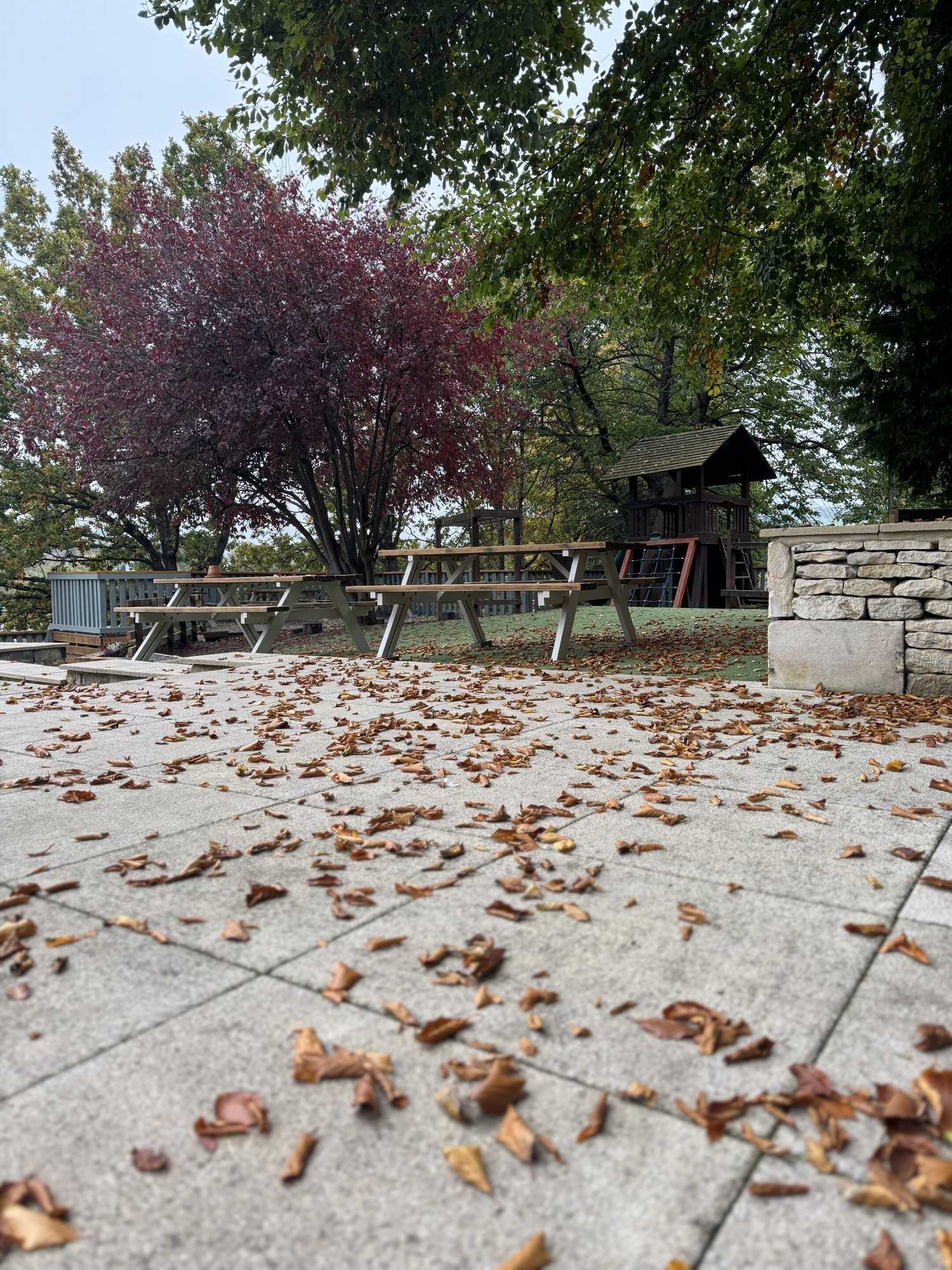 Gift card for The Clothiers Arms