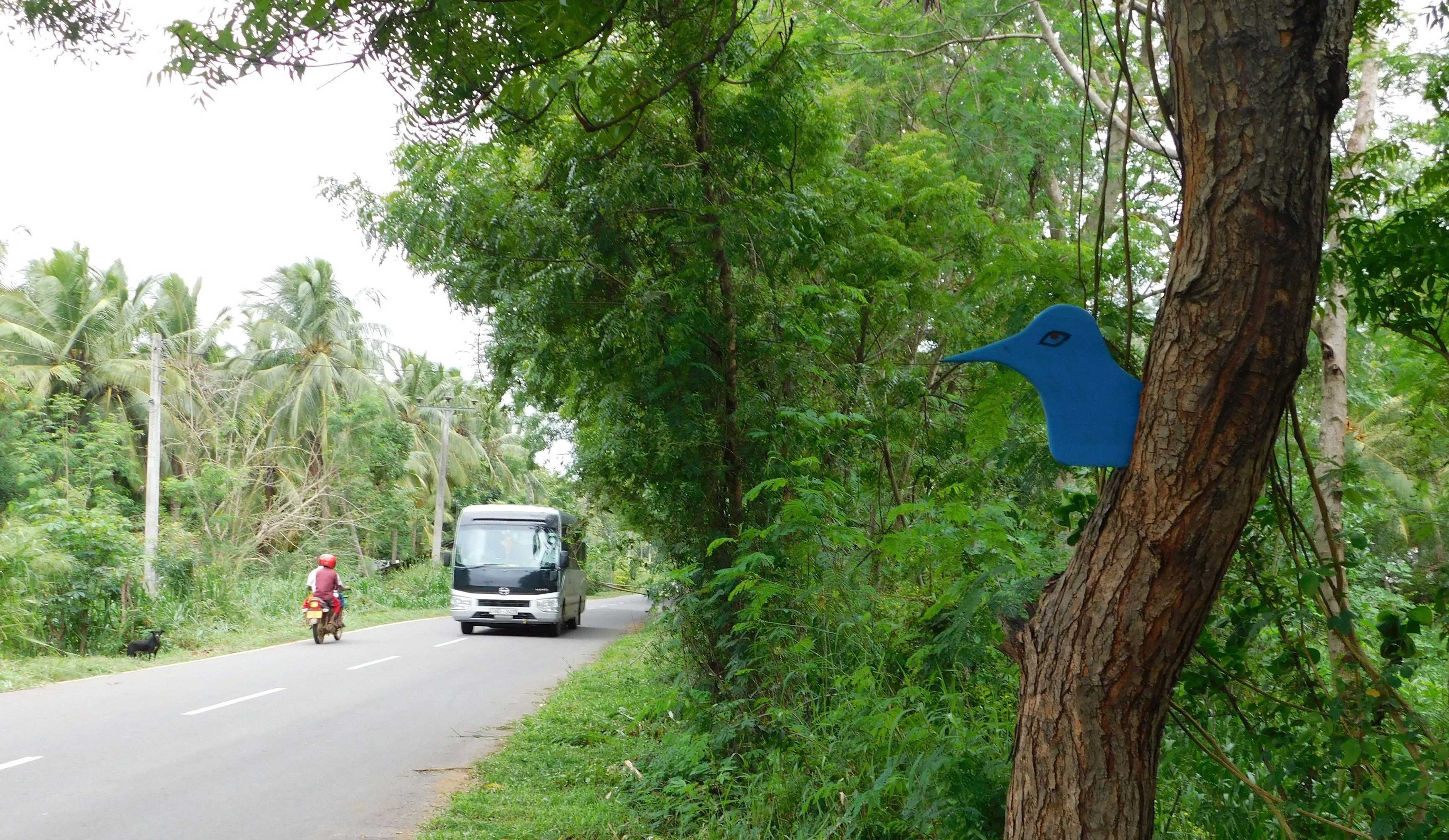 Gift card for Yala Avian Eye Safari Gift card for Yala Avian Eye Safari